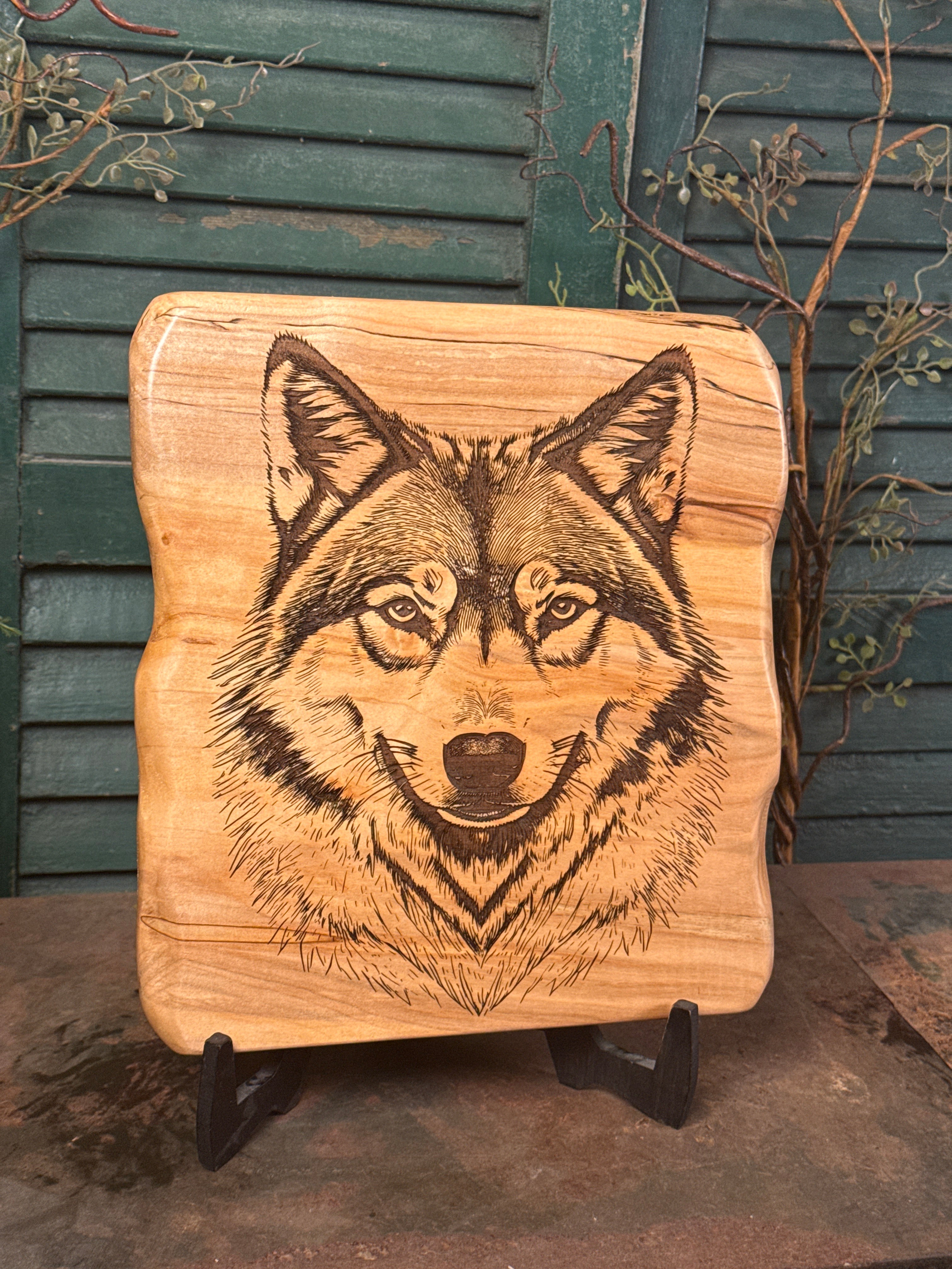 Timber Wolf on Maple