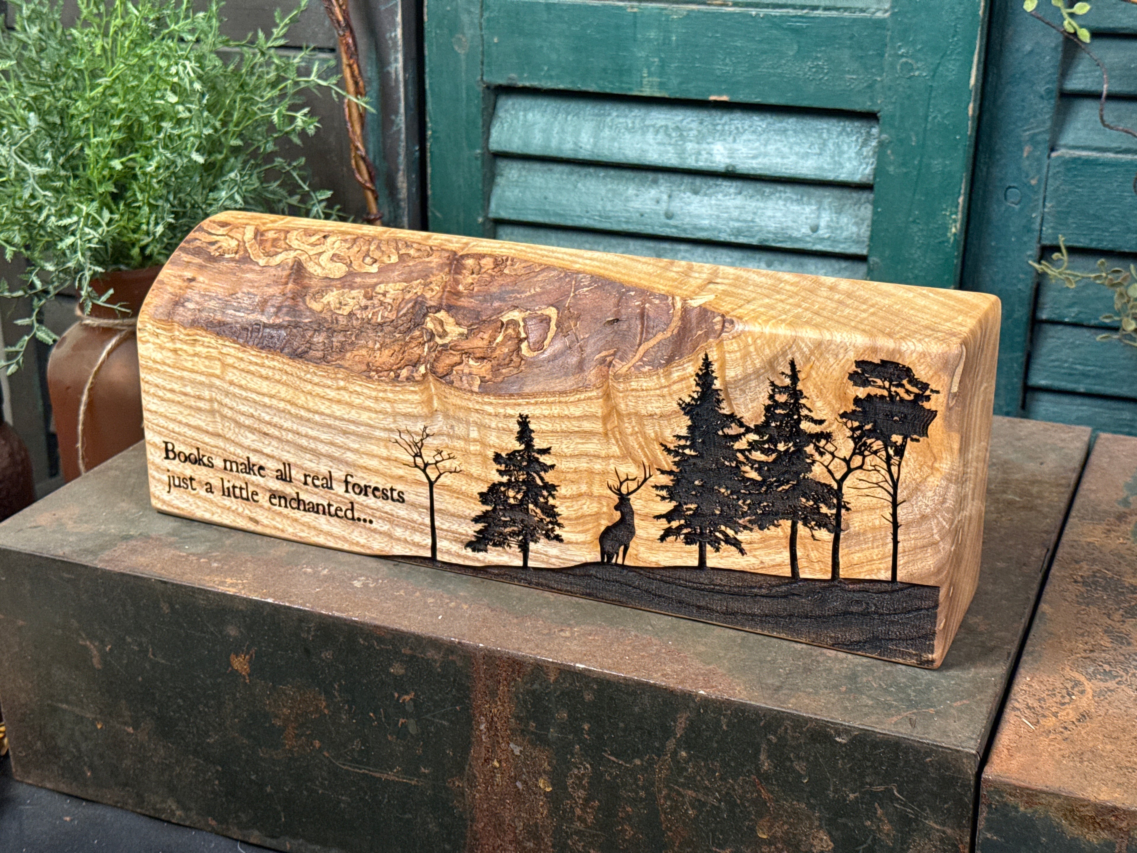 Enchanted Forest on Ash