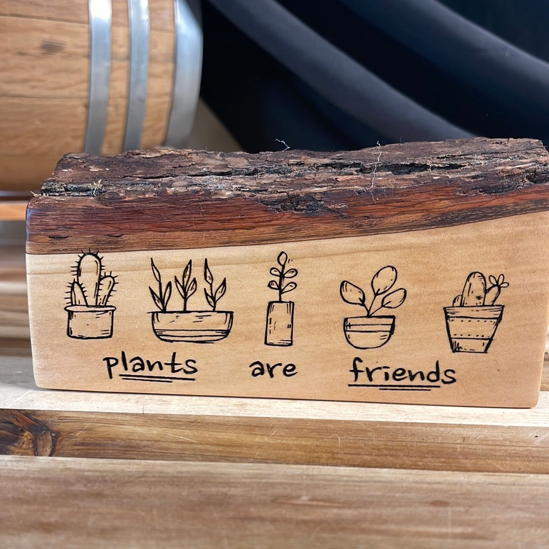 Plants Are Friends
