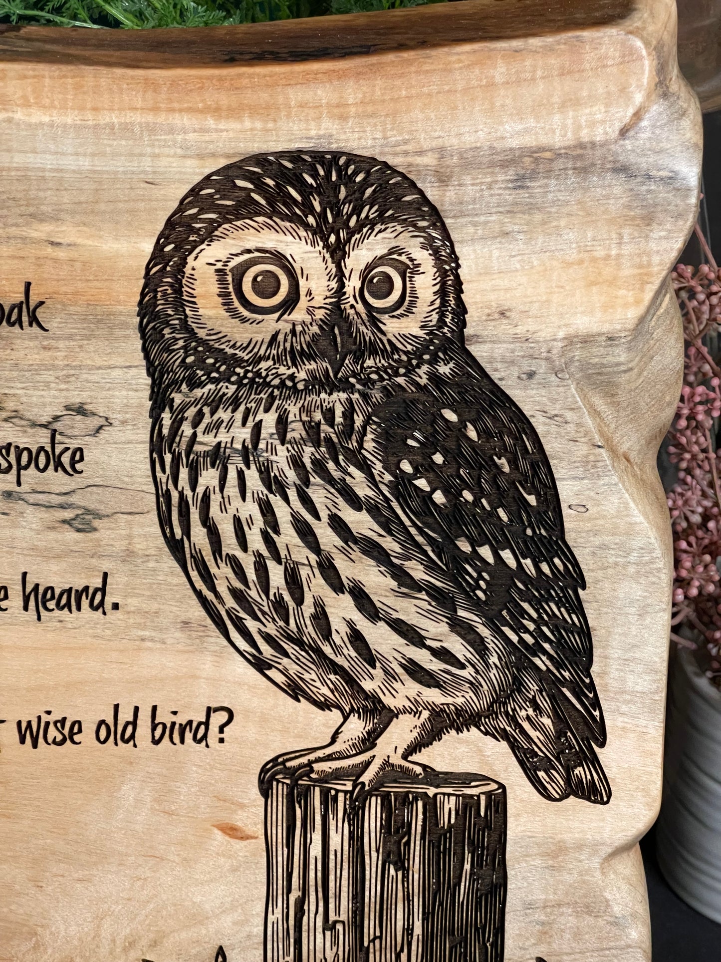 Wise Old Owl on Maple