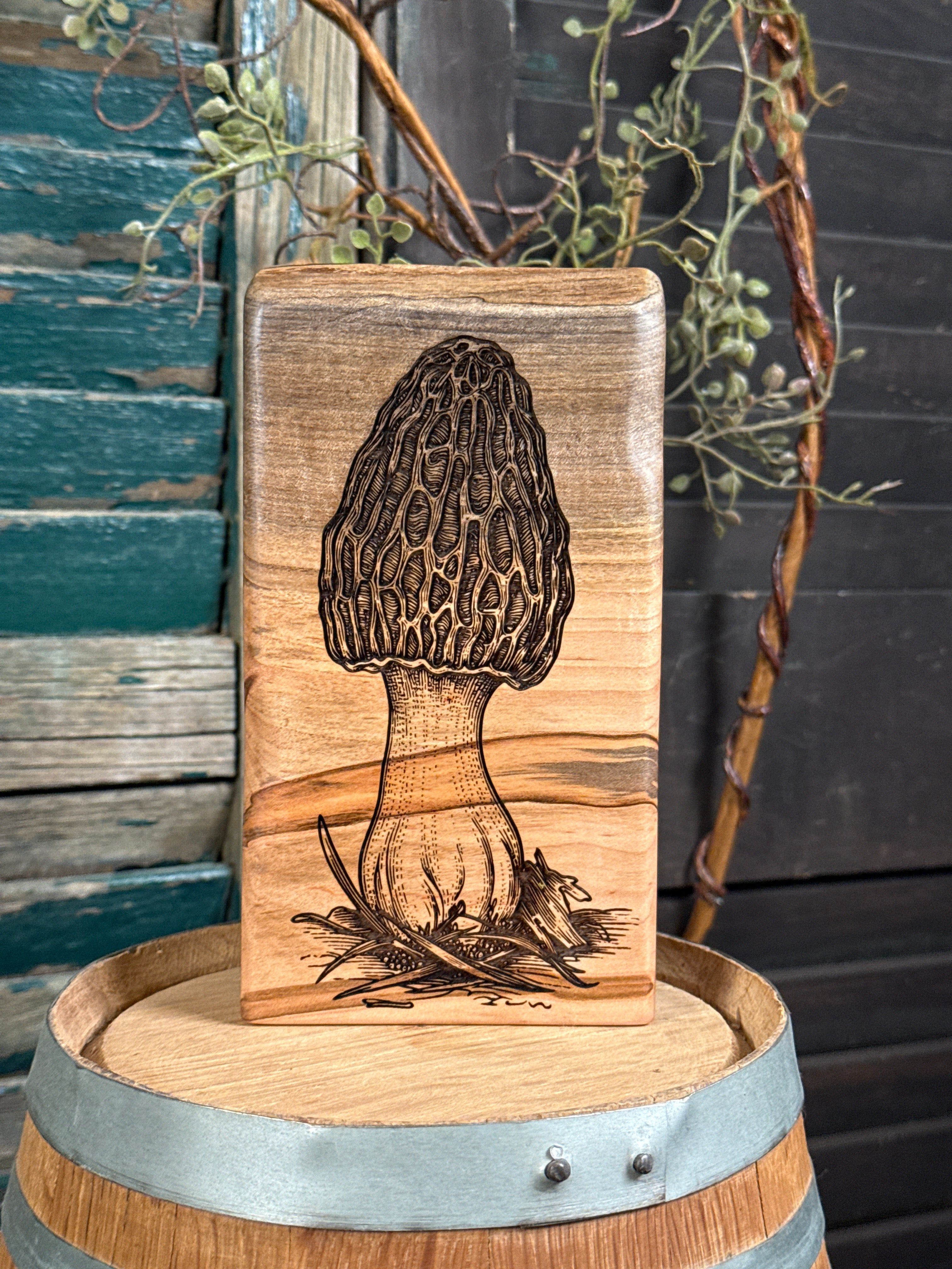 Morel Mushroom on Ambrosia Maple