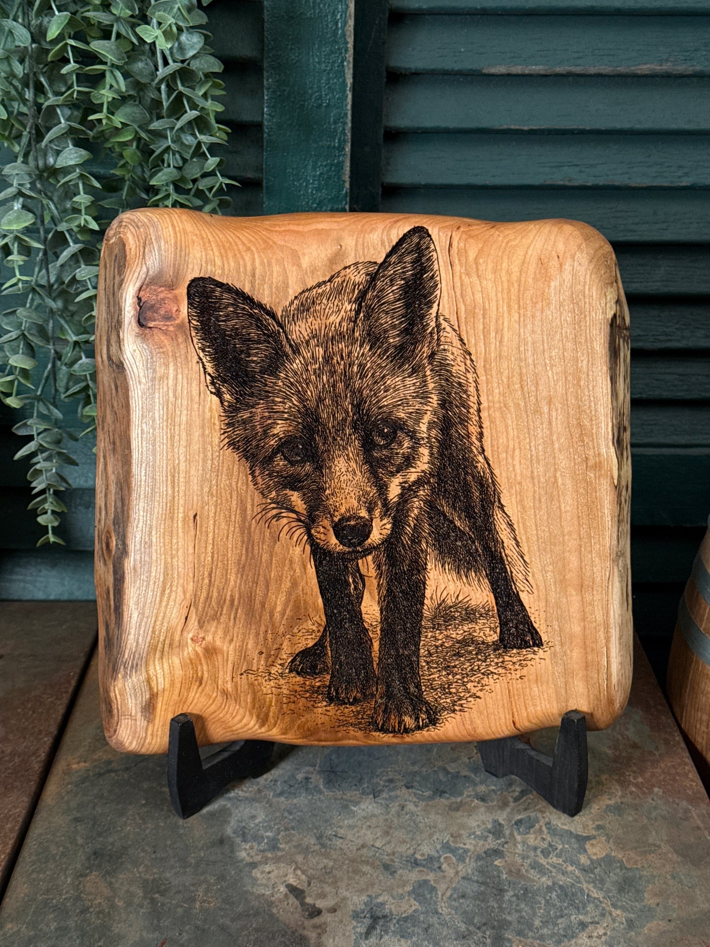Curious Fox on Cherry