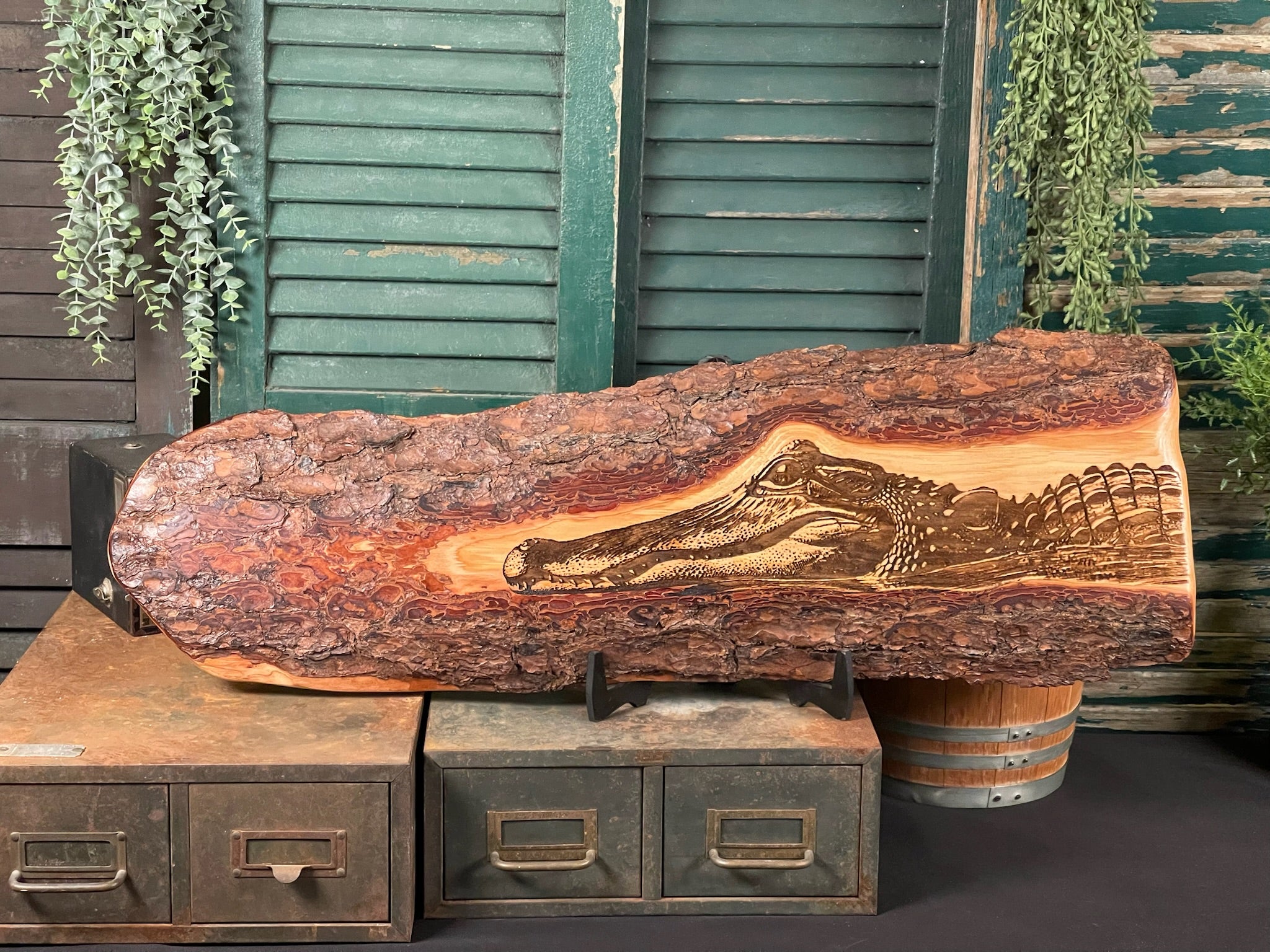 Alligator in Water on Pine