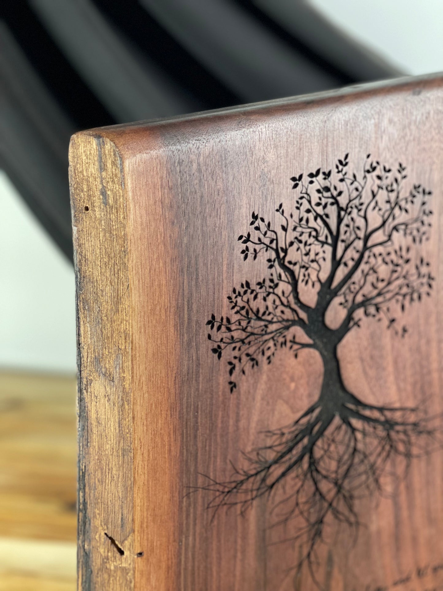 Roots - Colossians 2:7