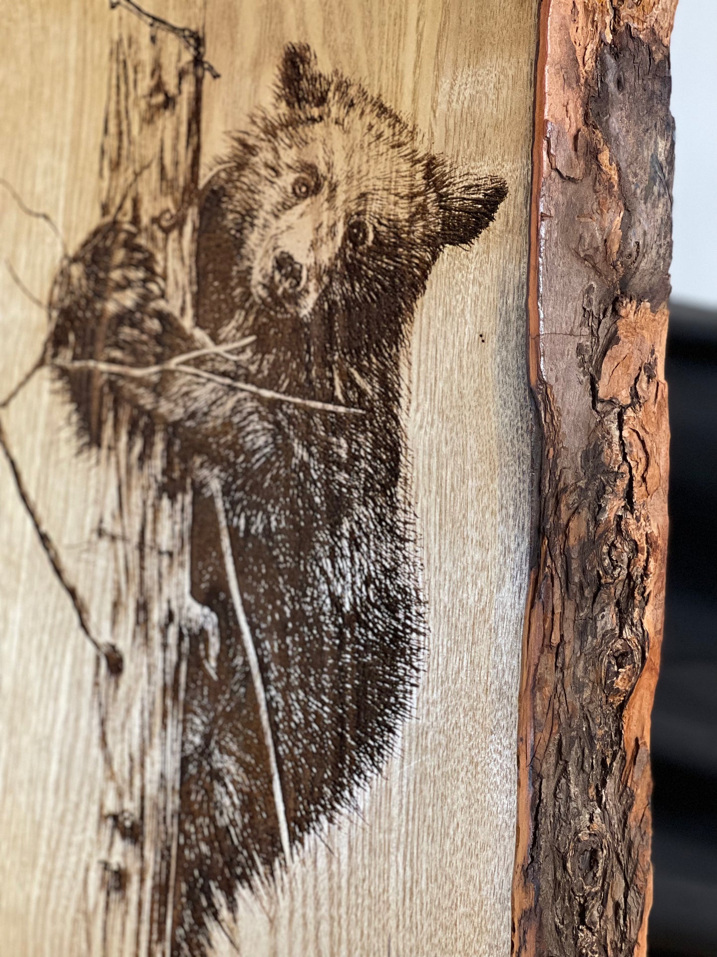 Bear Cub