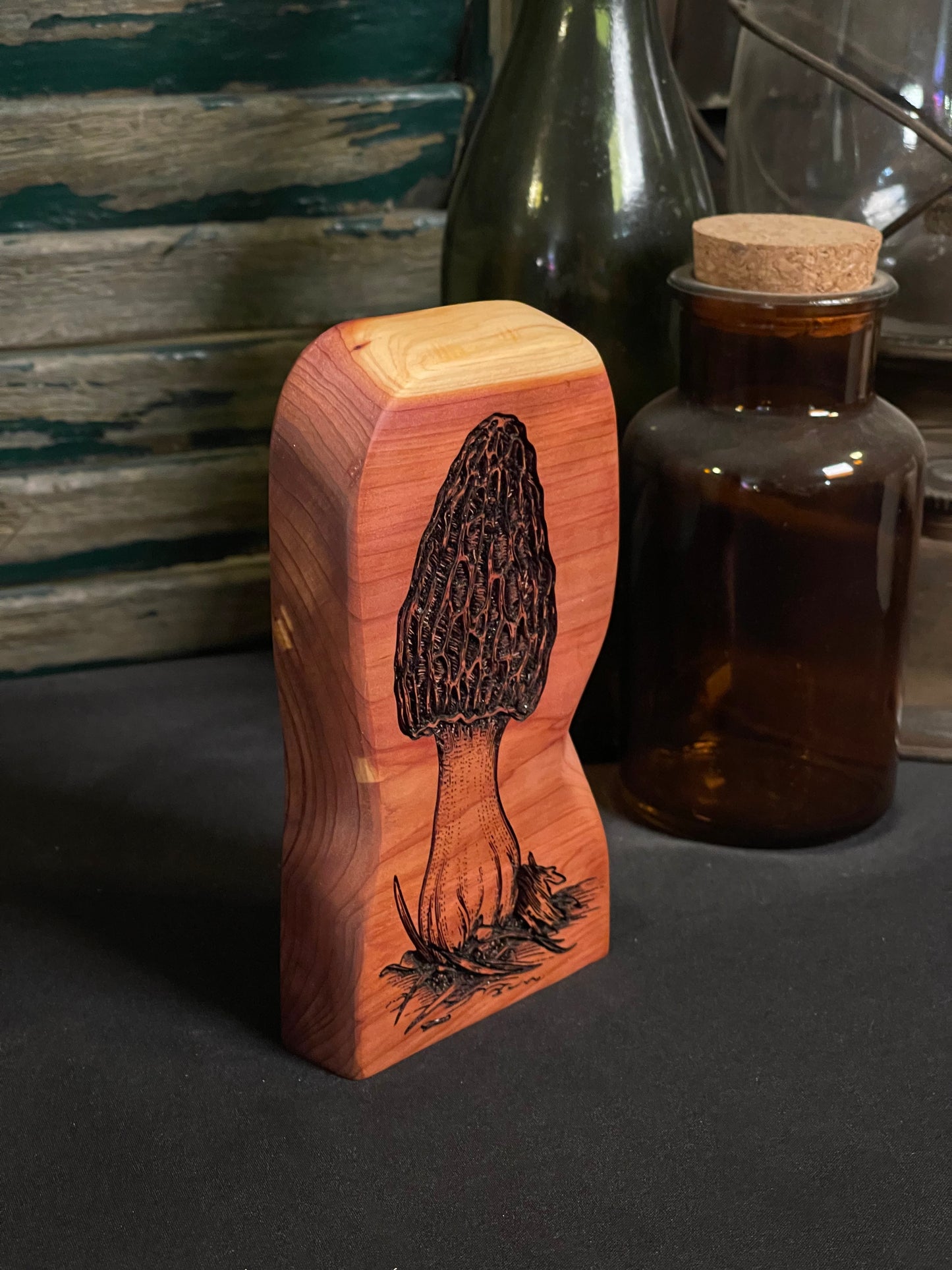 Morel on Cedar