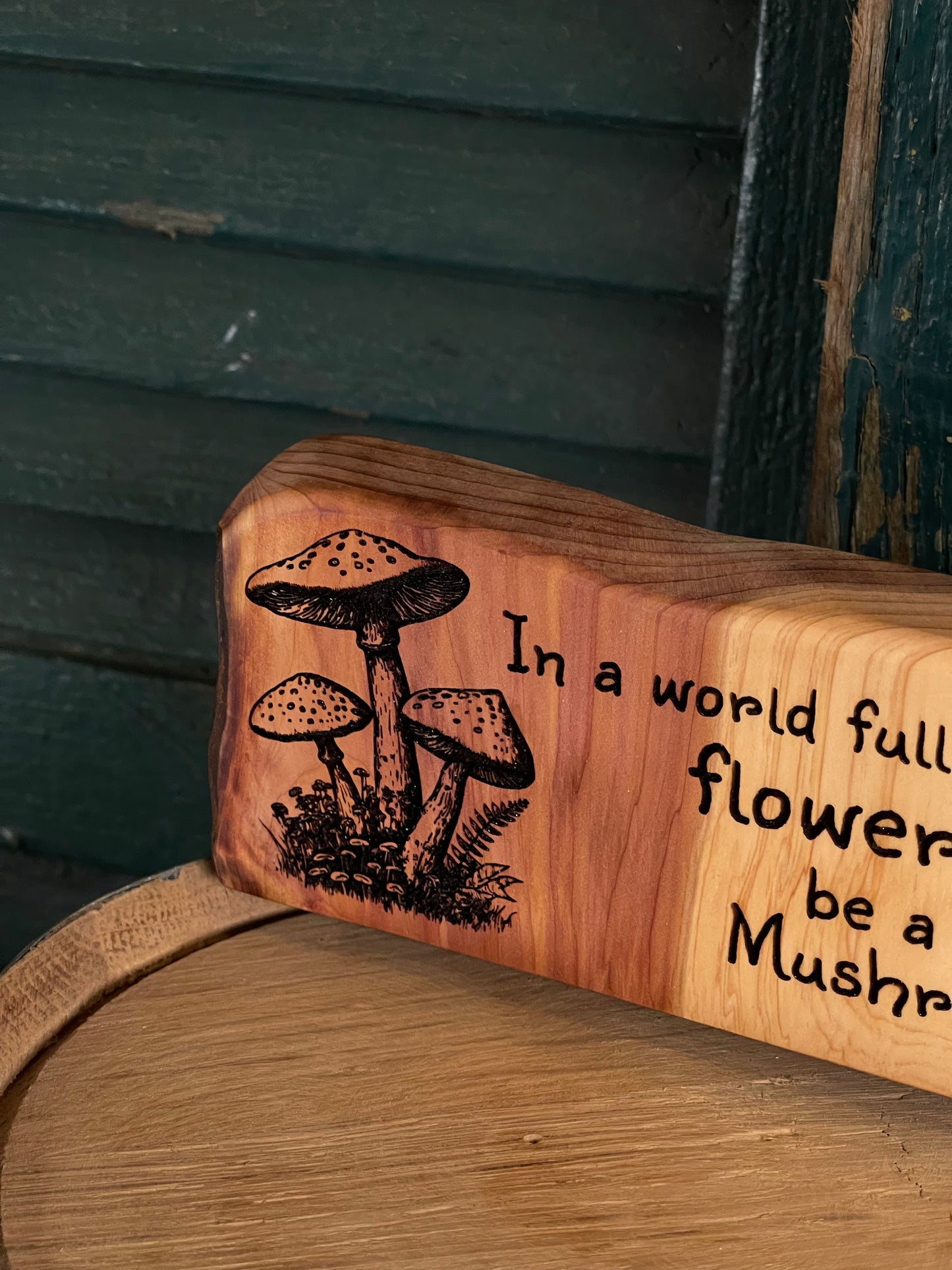 Be A Mushroom on Cedar
