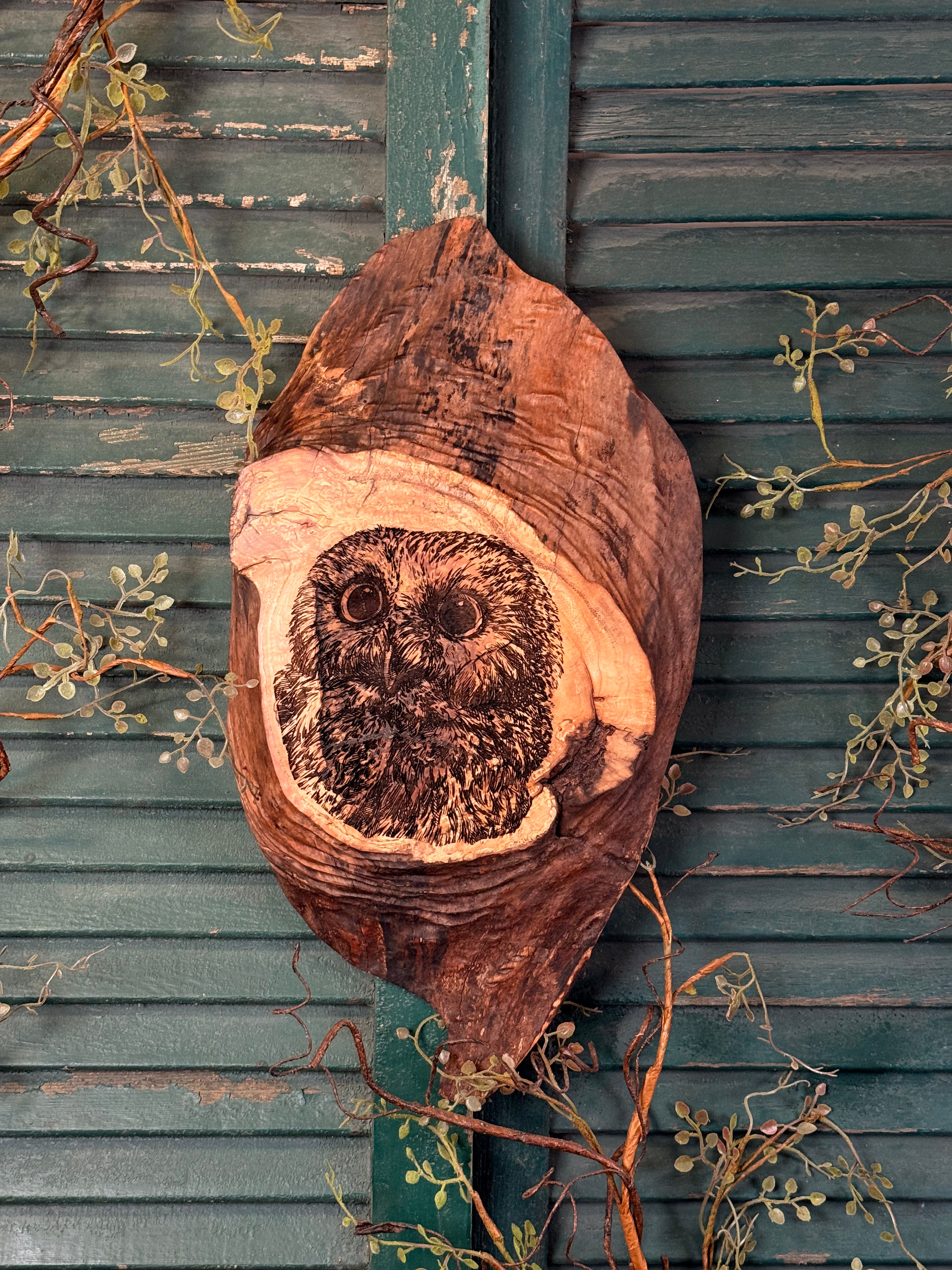 Owl in Tree on Maple