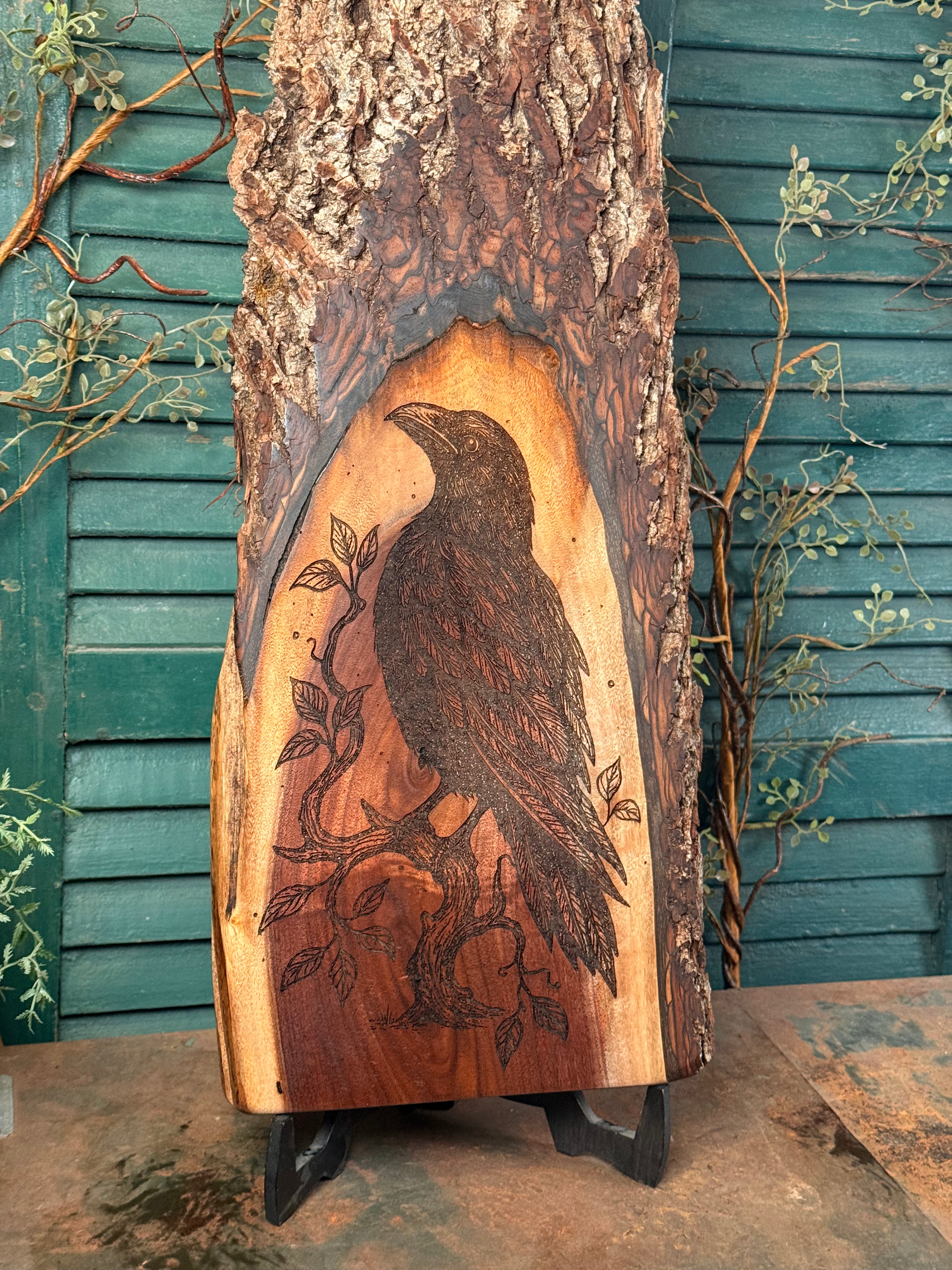 Ancient Crow on Walnut