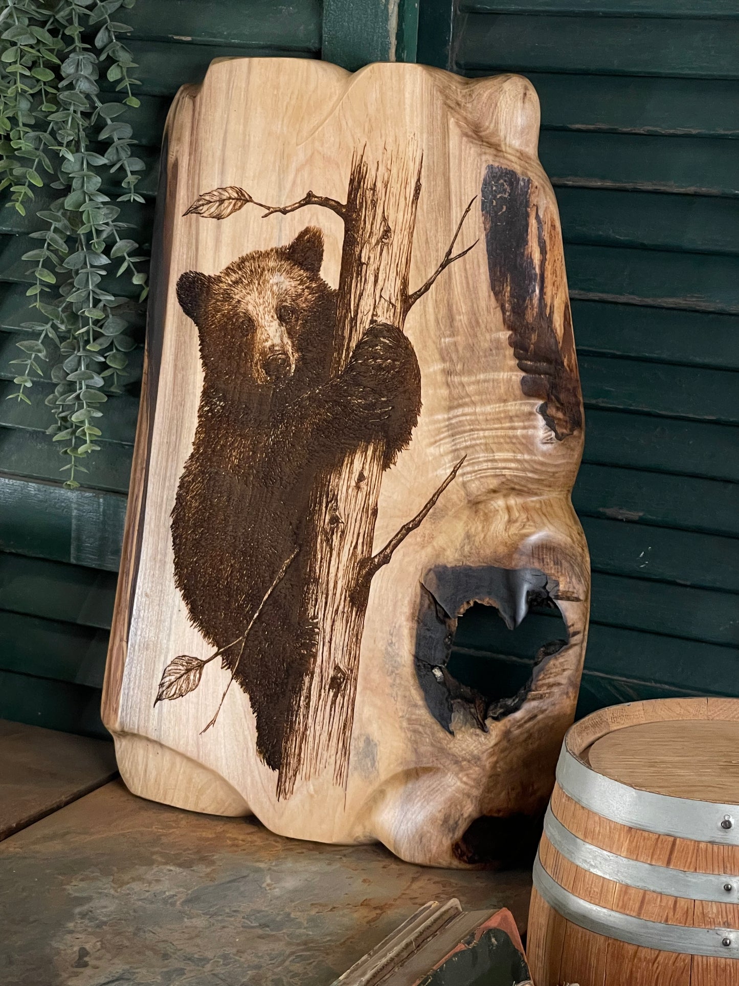 Bear Cub on Maple