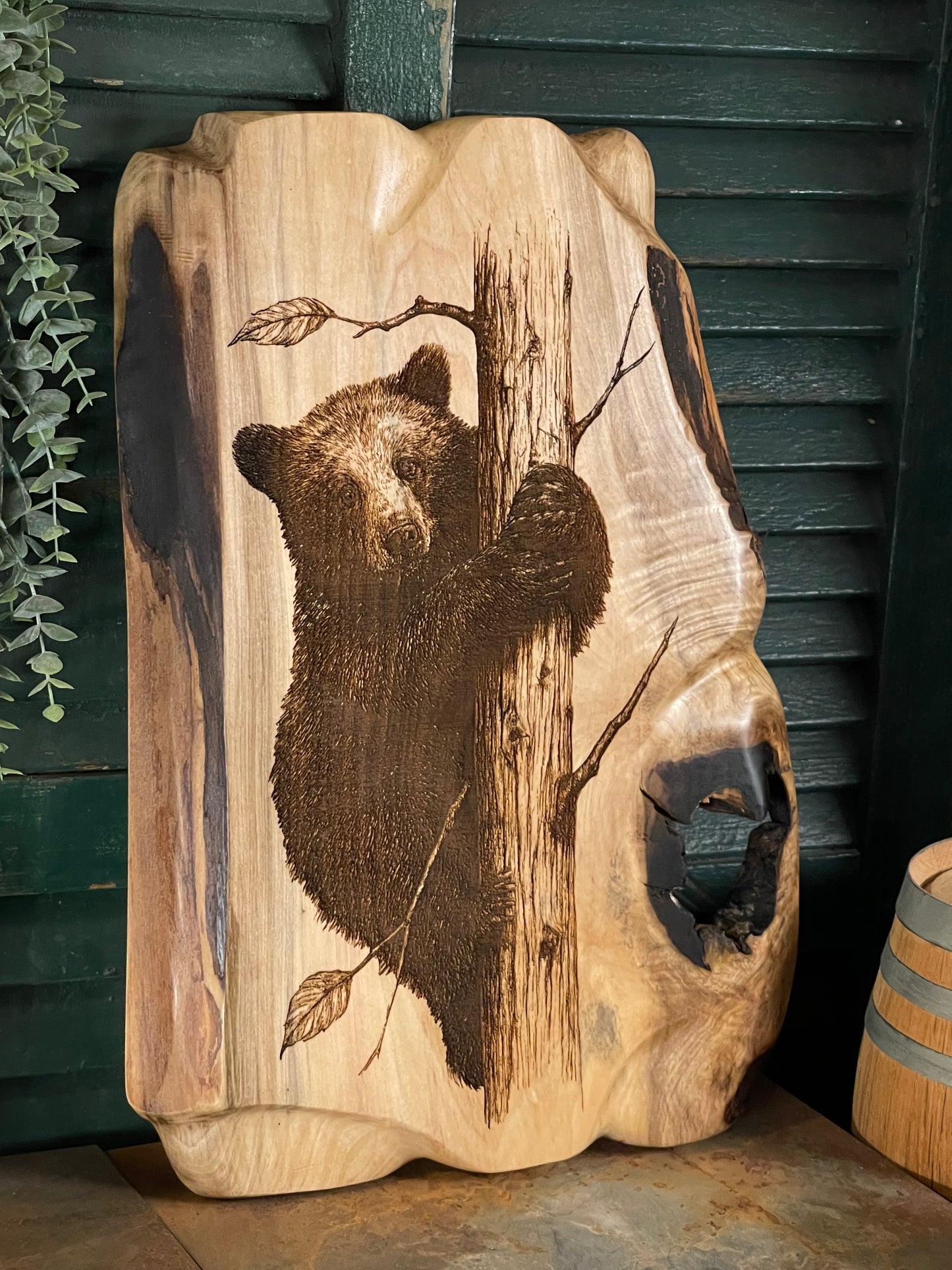 Bear Cub on Maple
