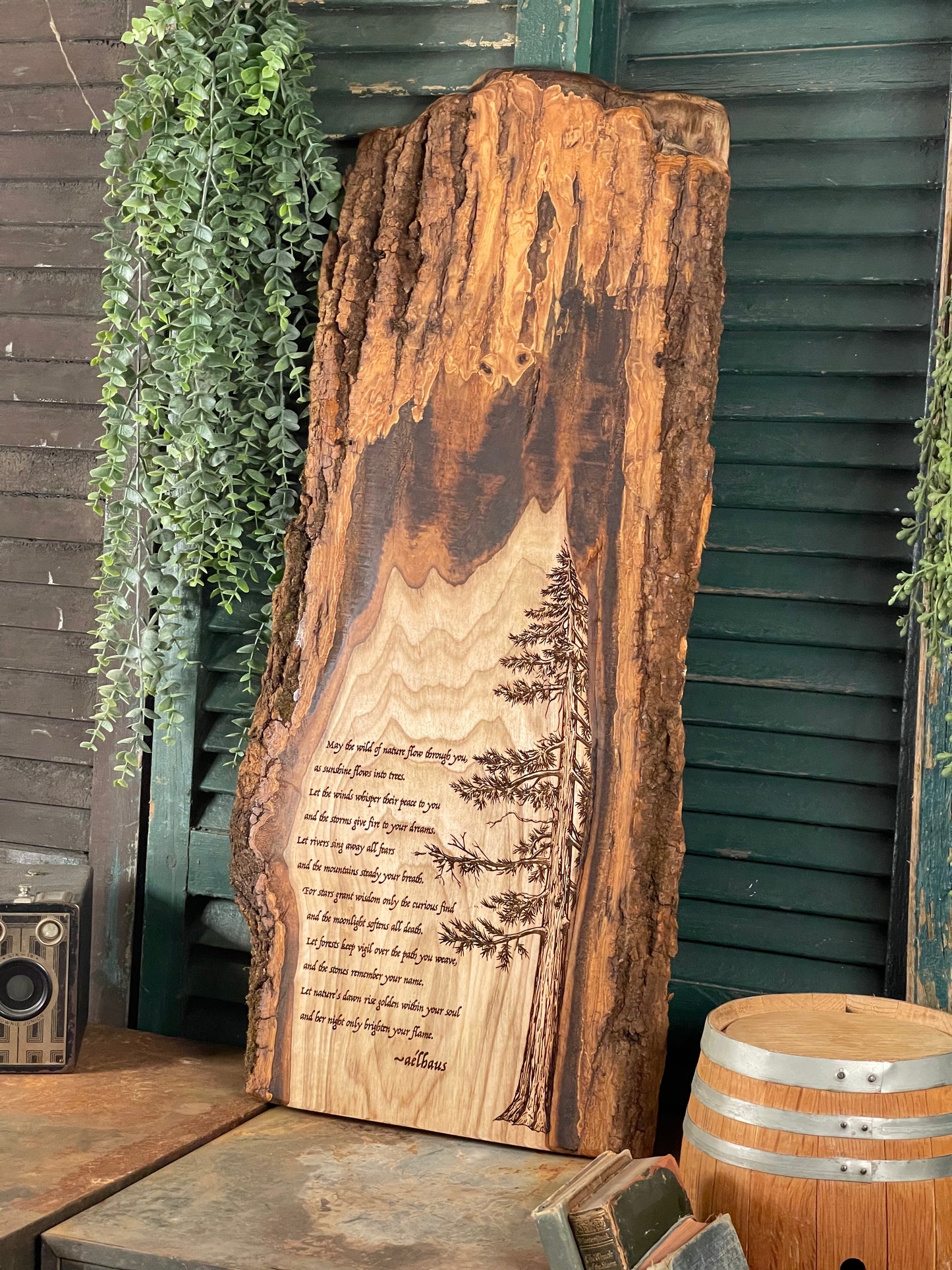 The Wild of Nature on Poplar