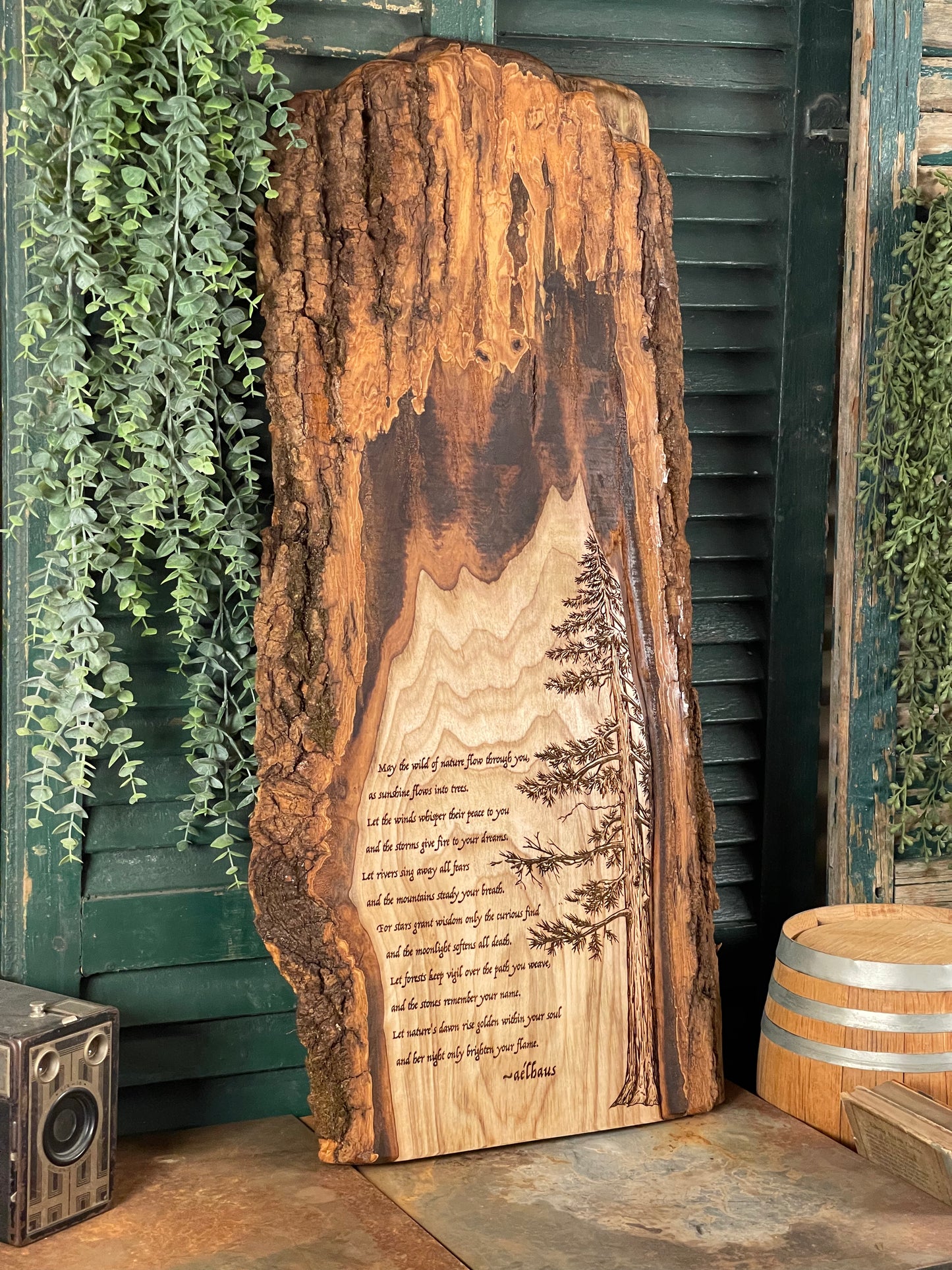 The Wild of Nature on Poplar