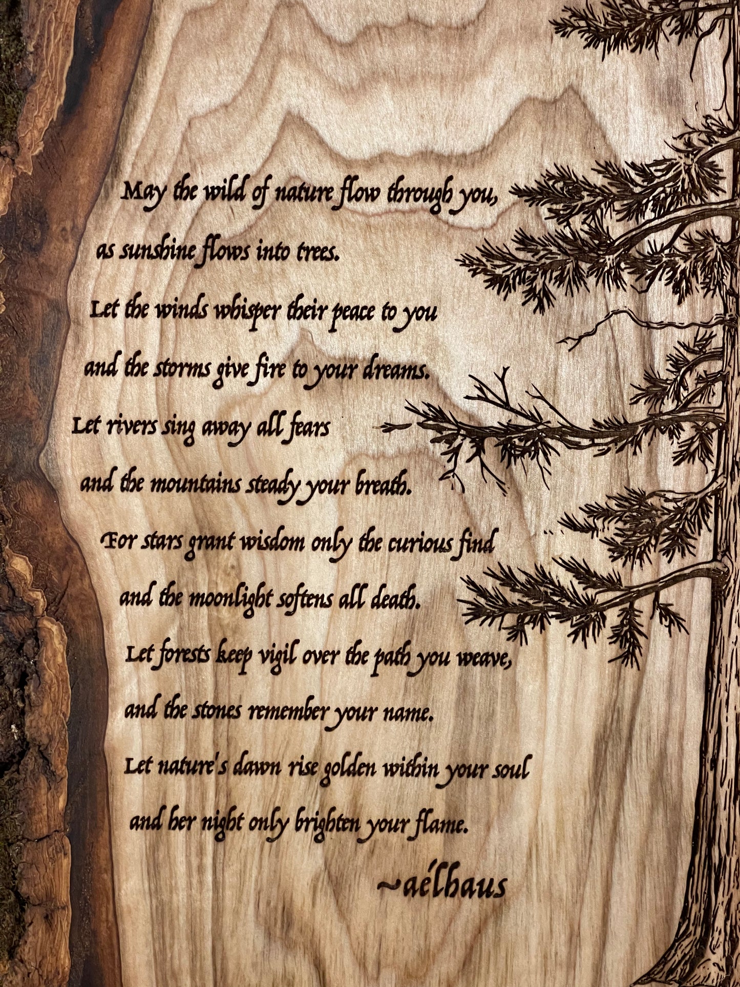The Wild of Nature on Poplar