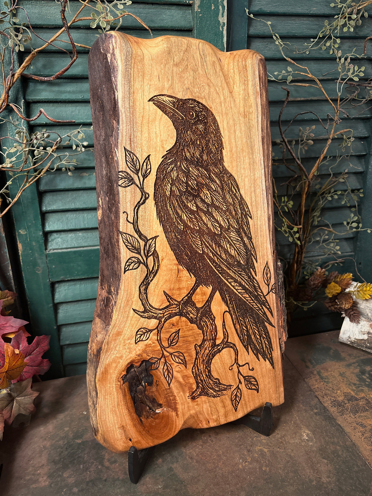 Ancient Raven on Cherry