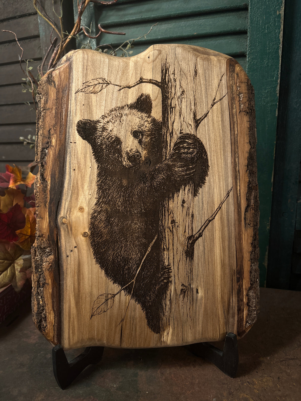 Bear Cub on Poplar