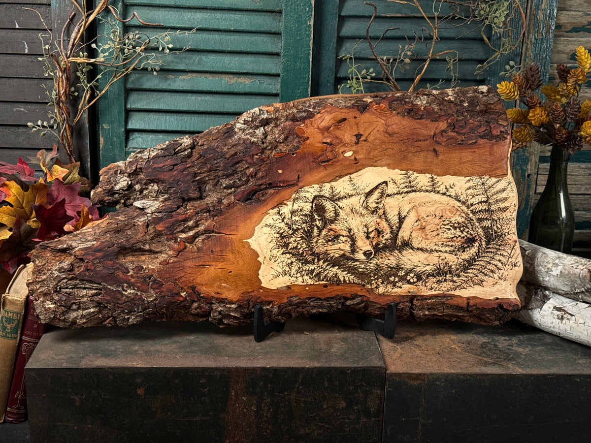 Fox in Fern on Pecan