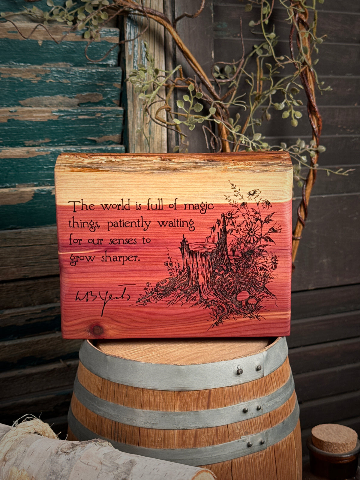 Magic Things on Cedar