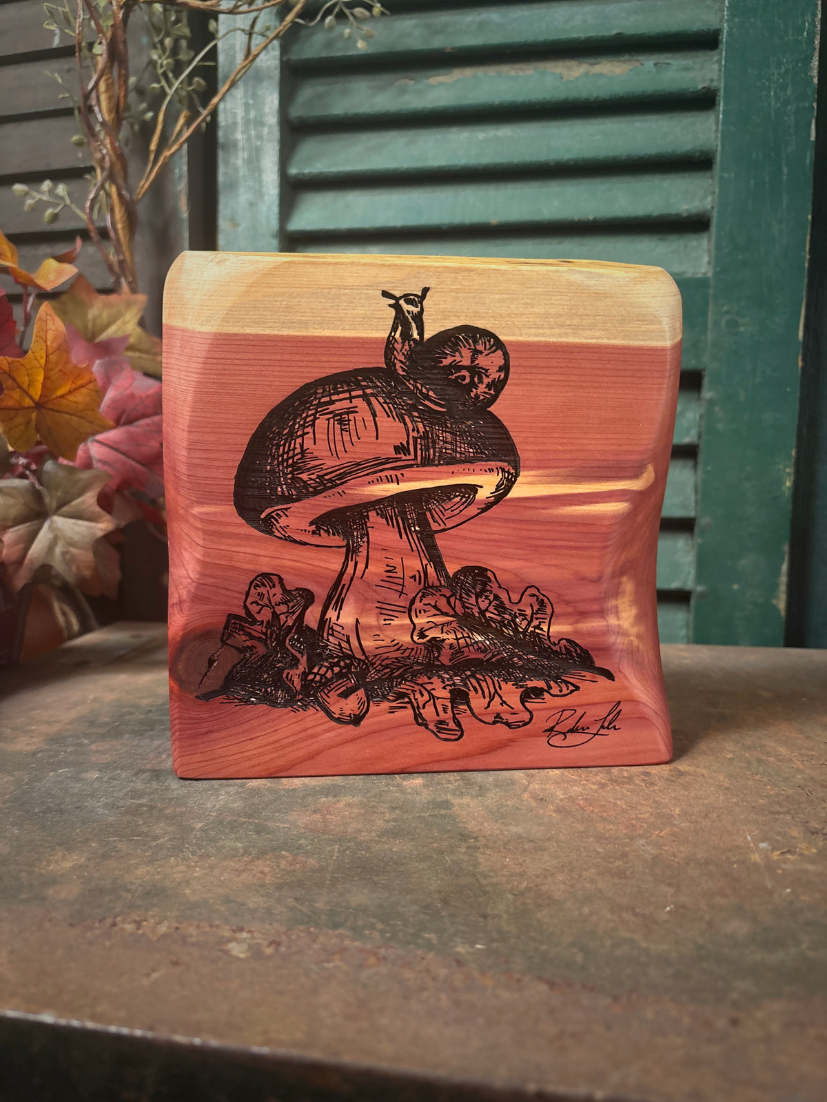 Mushroom on Cedar