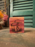 Mushroom on Cedar
