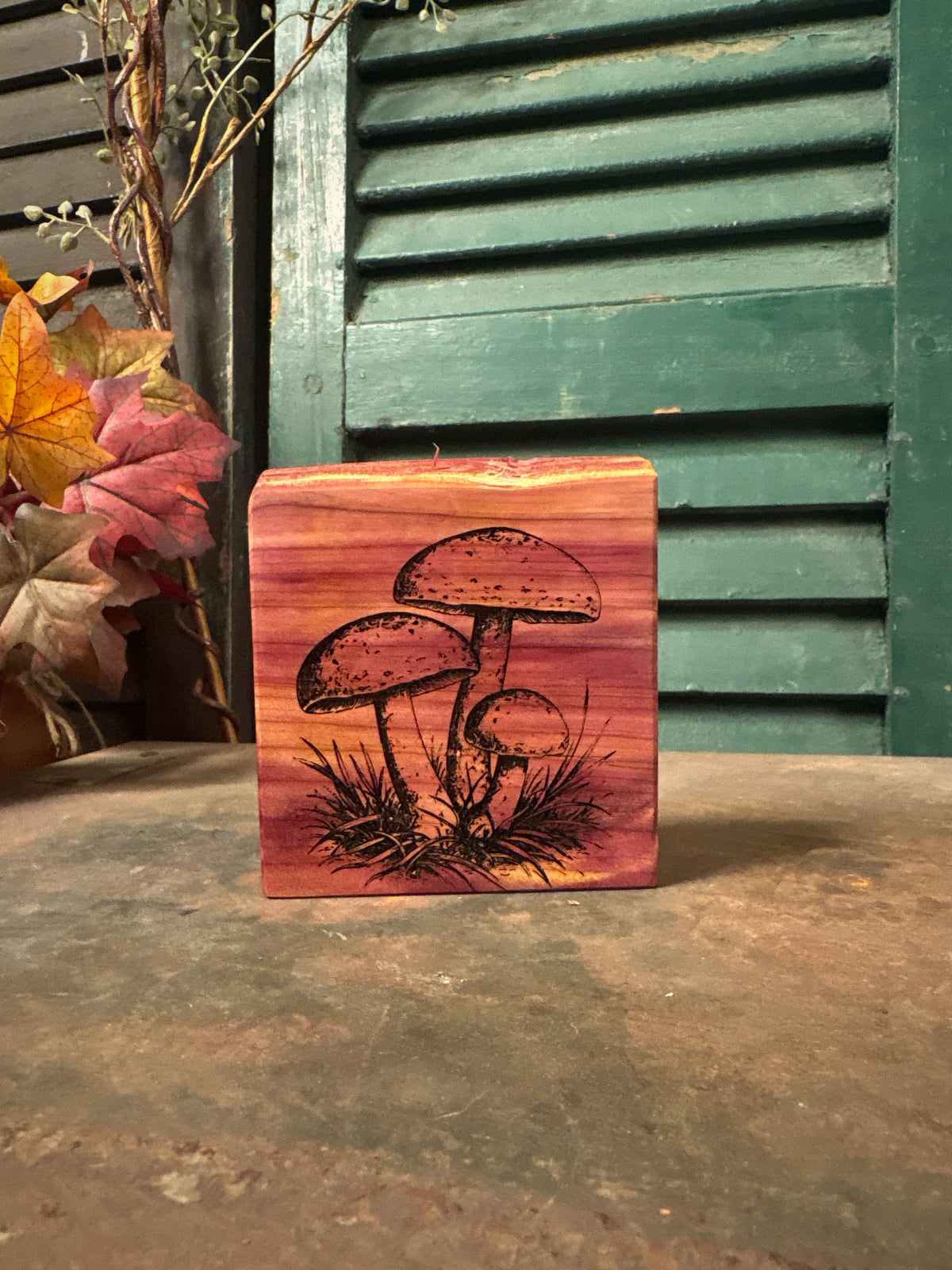 Mushroom on Cedar