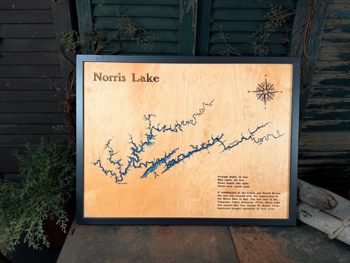 Norris Lake Map on Salvaged Ply