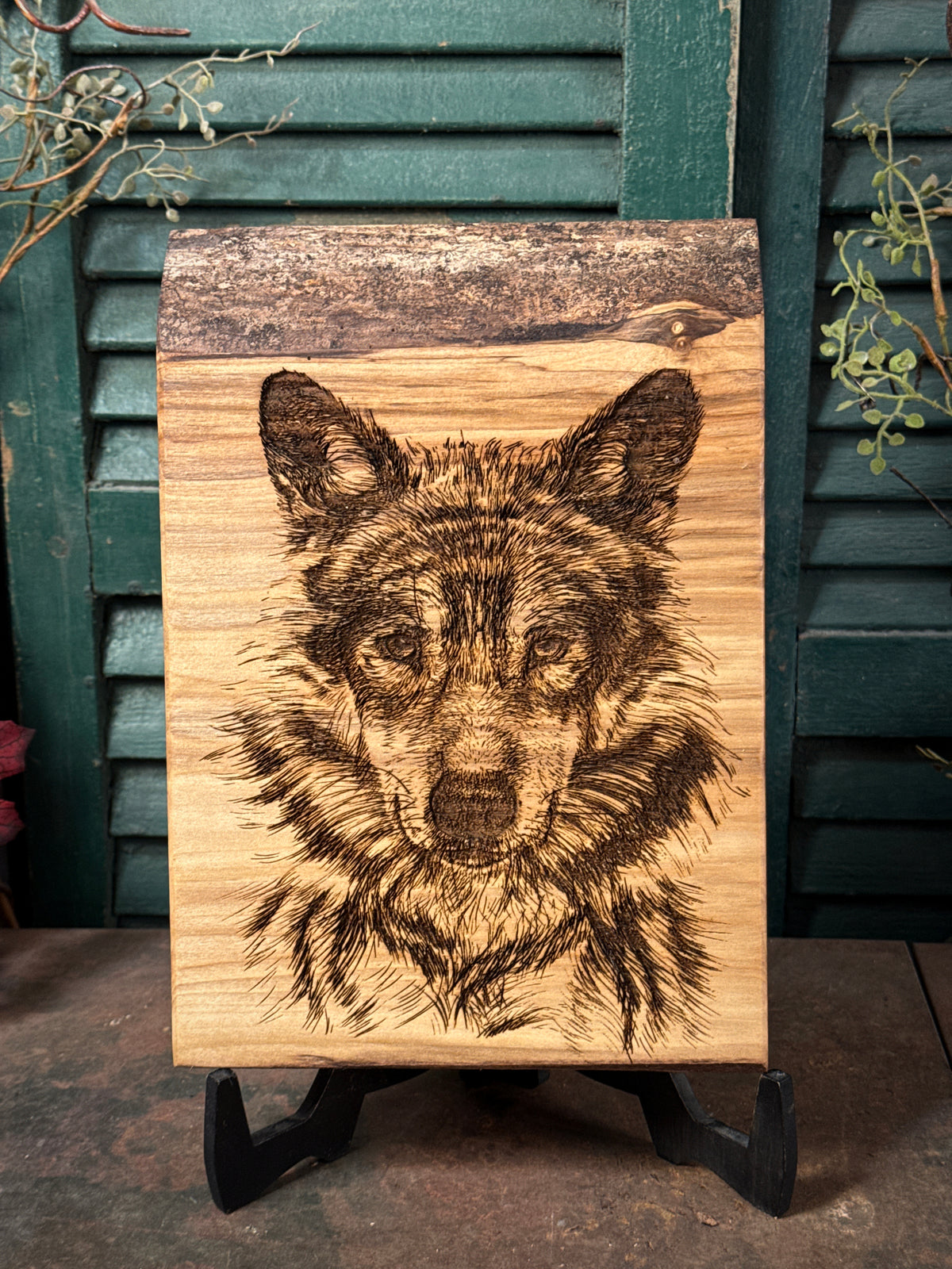 Timber Wolf on Spalted Maple