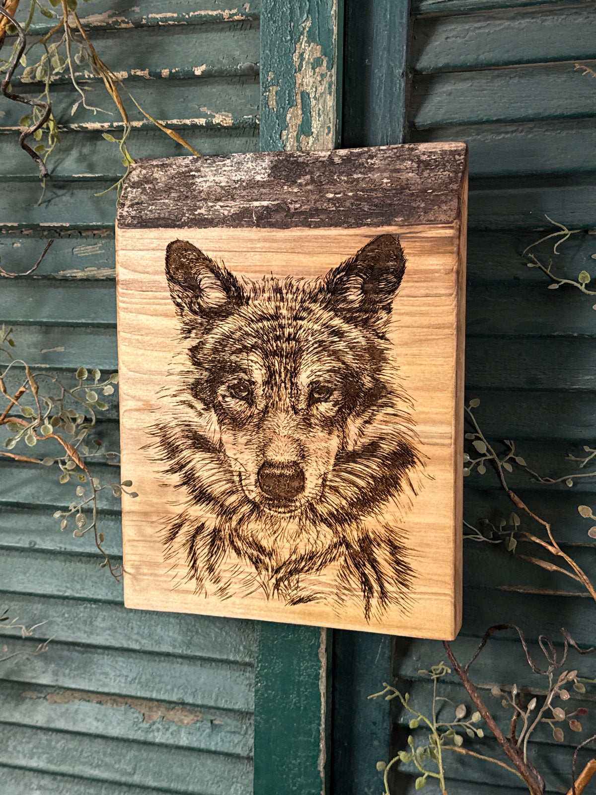 Timber Wolf on Spalted Maple