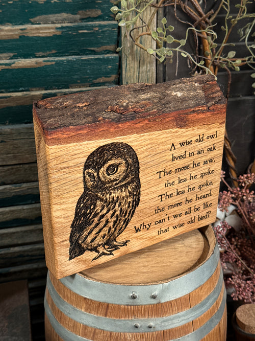 A Wise Old Owl on Oak