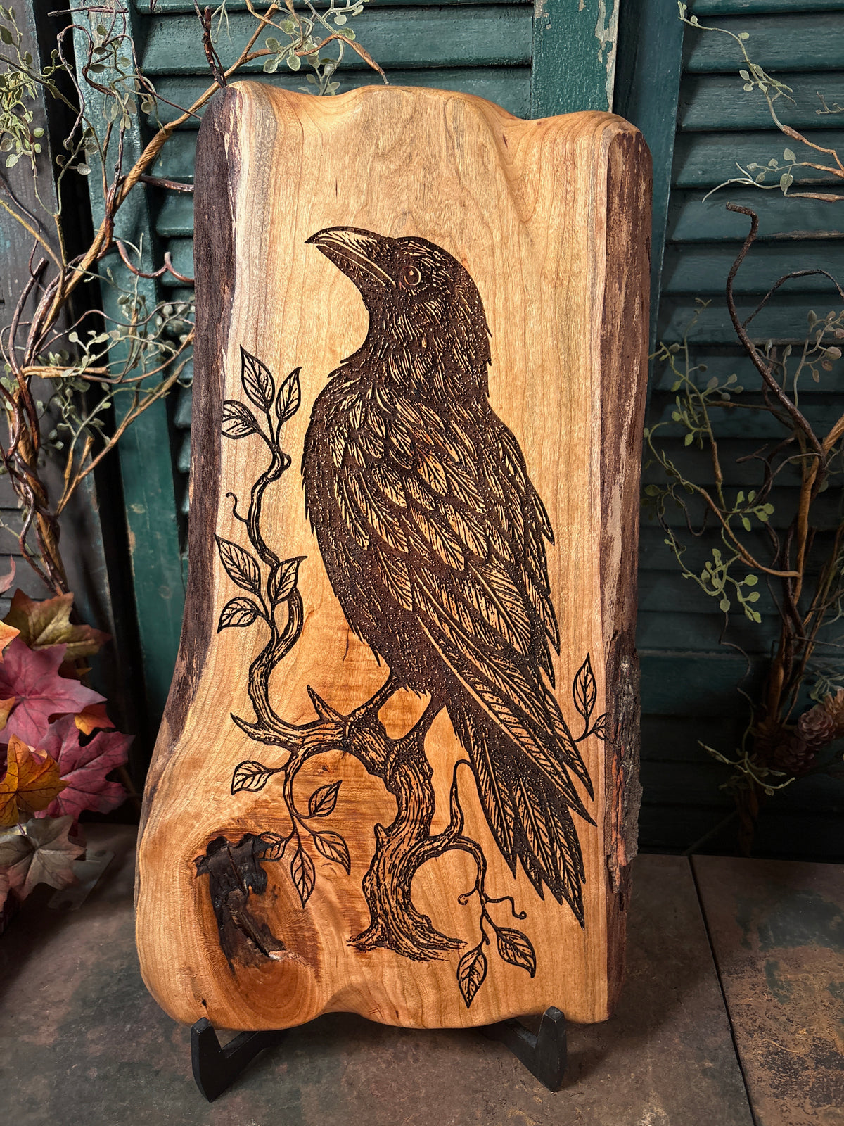 Ancient Raven on Cherry