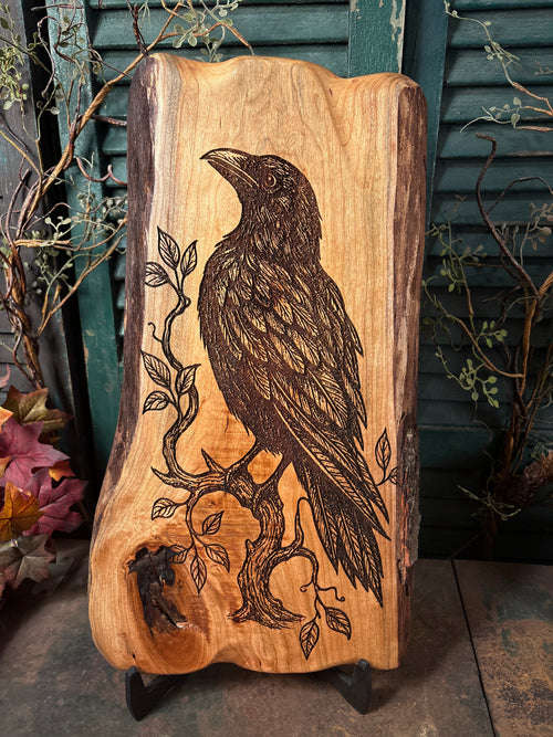 Ancient Raven on Cherry
