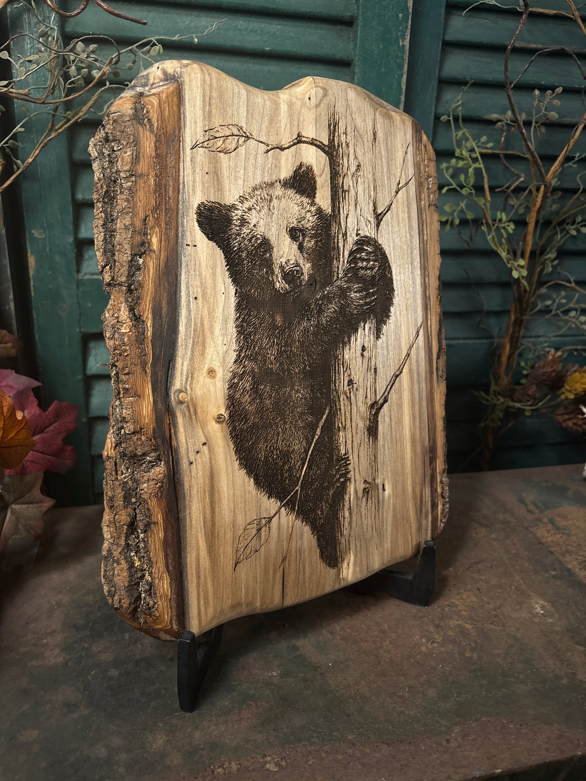 Bear Cub on Poplar