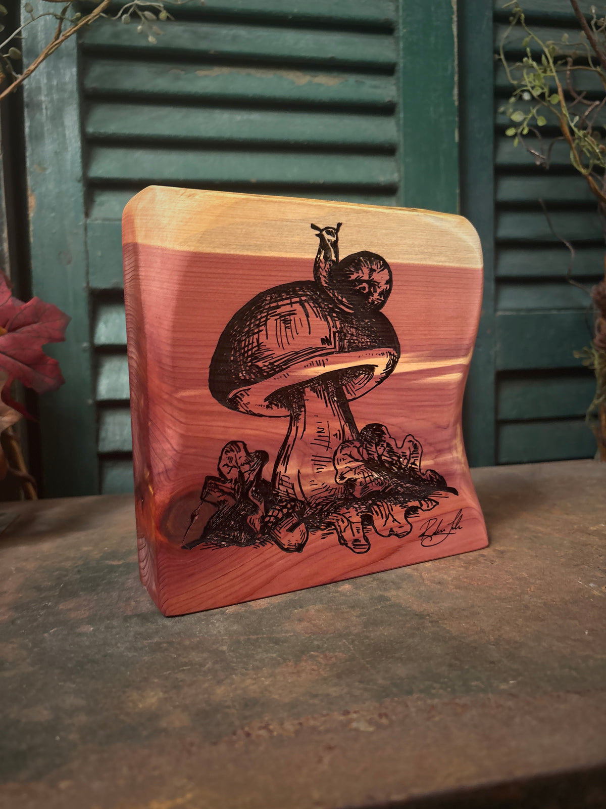 Mushroom on Cedar