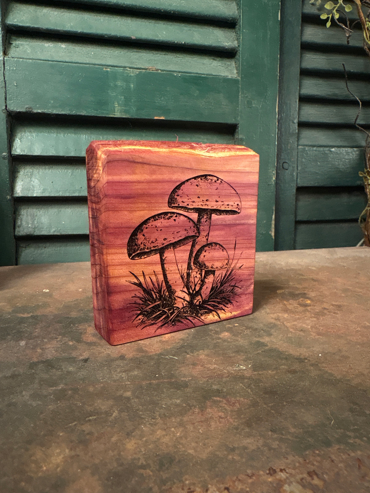 Mushroom on Cedar