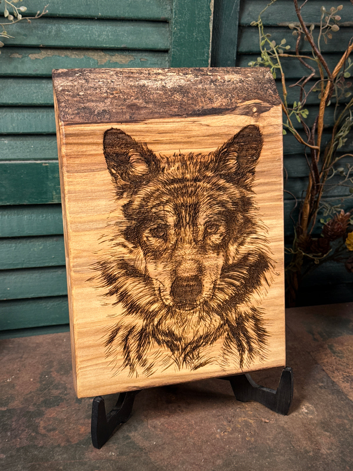 Timber Wolf on Spalted Maple