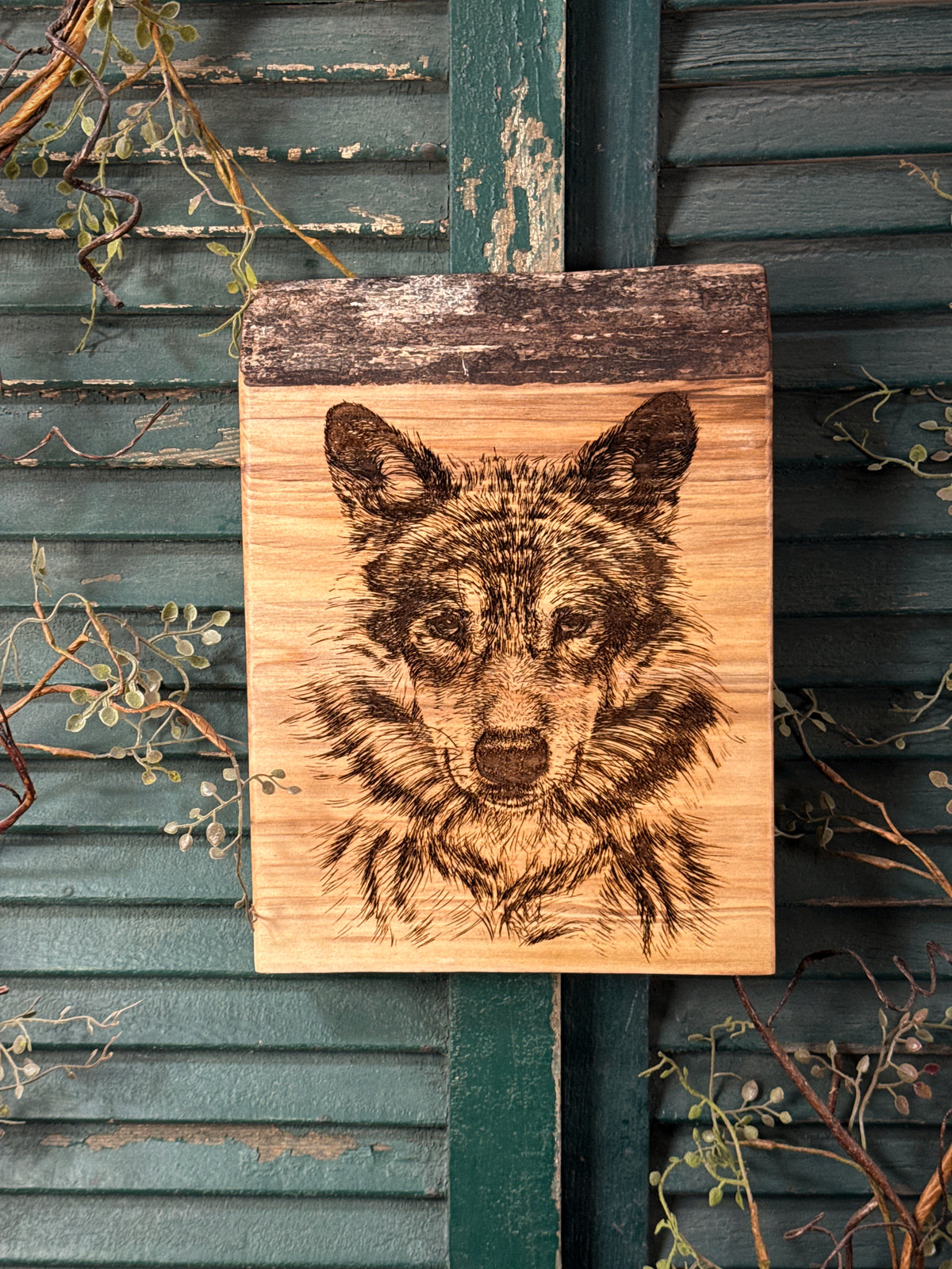 Timber Wolf on Spalted Maple