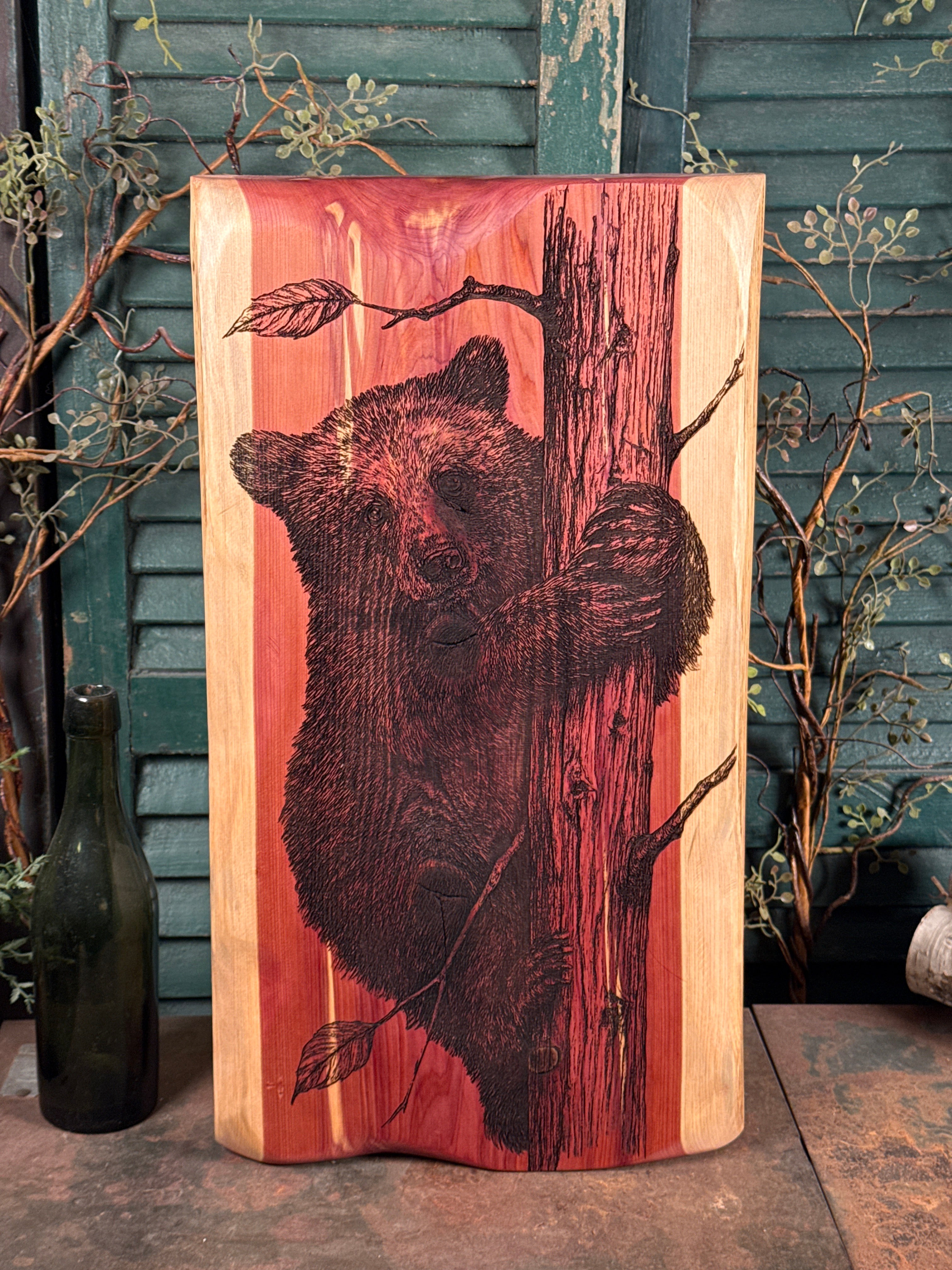 Bear Cub on Cedar