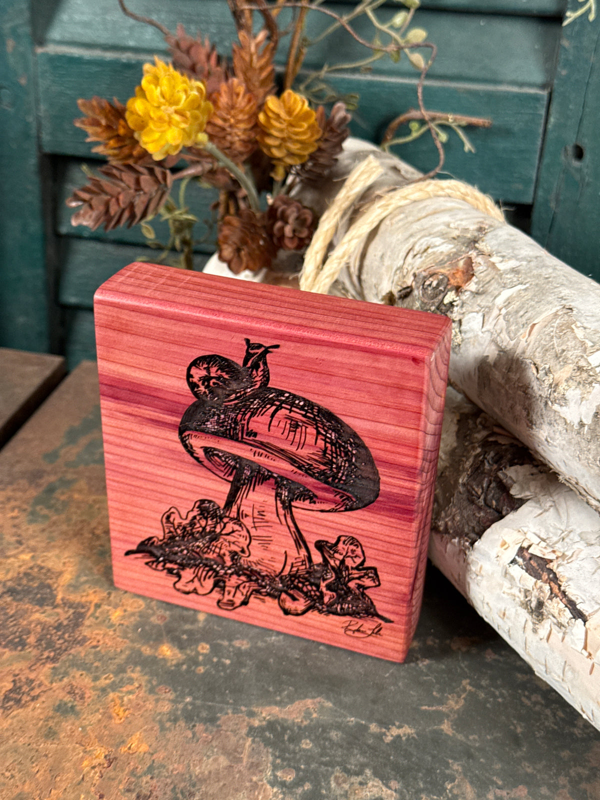 Mushroom on Cedar