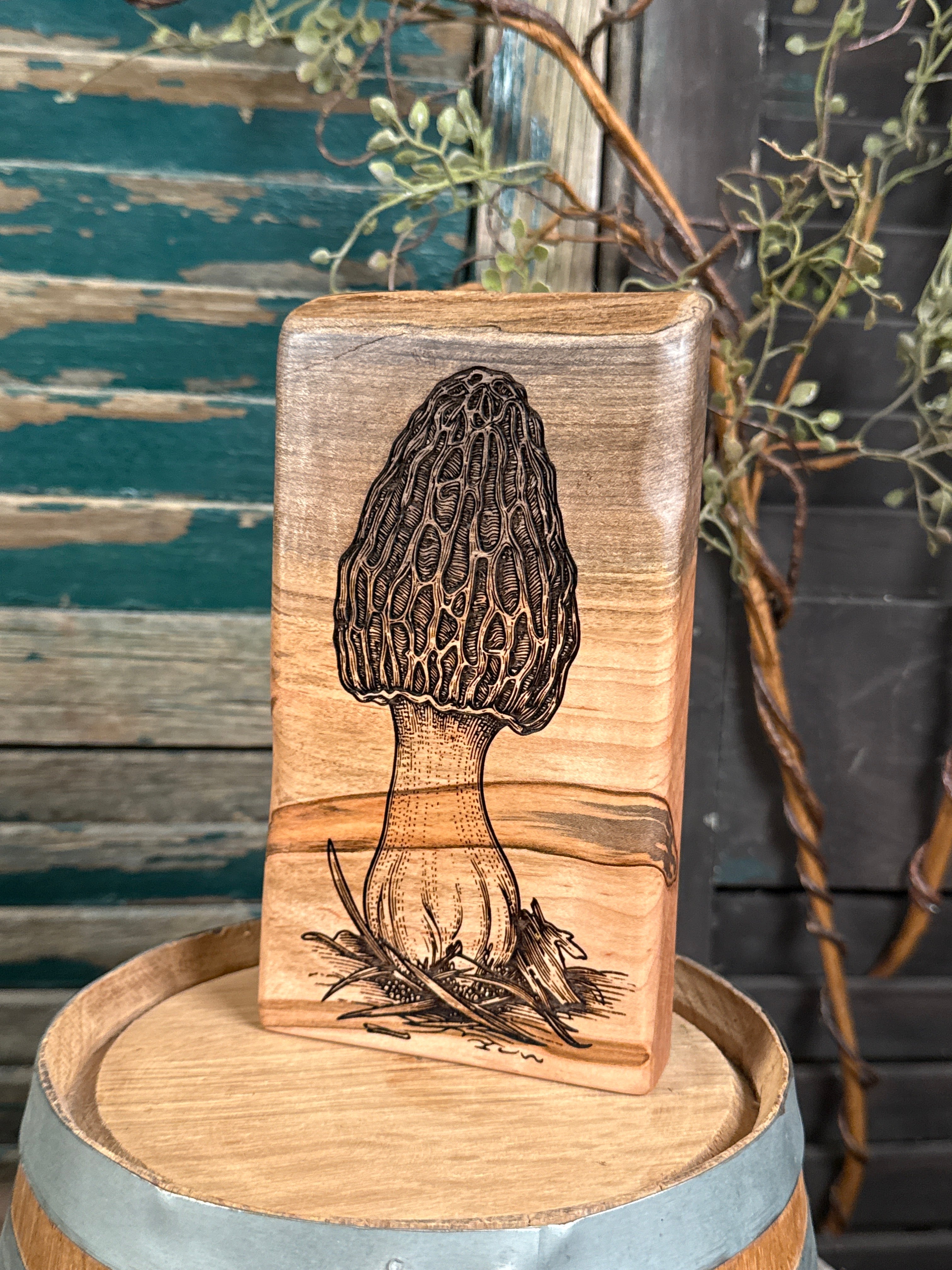 Morel Mushroom on Ambrosia Maple