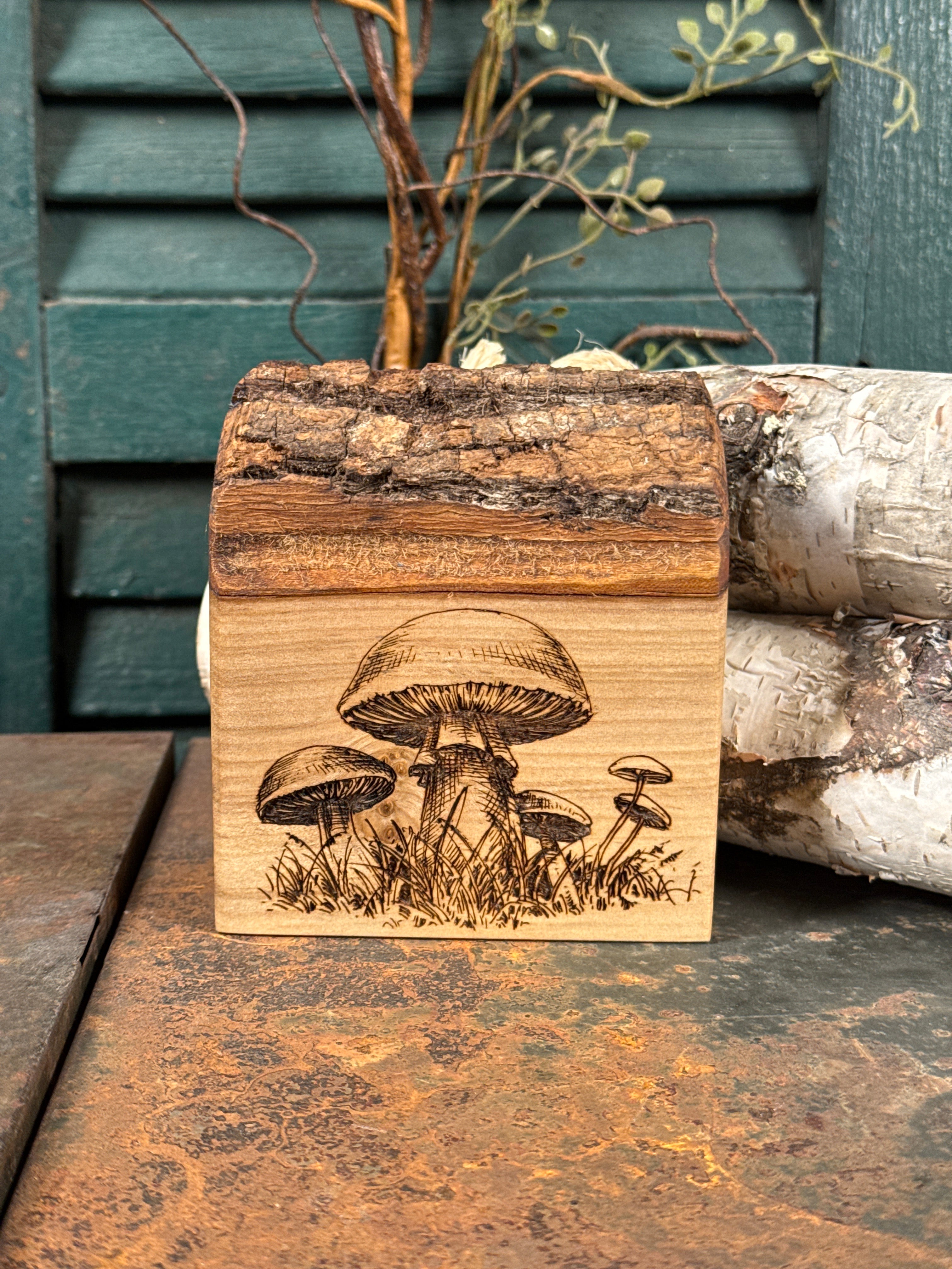 Mushroom on Poplar