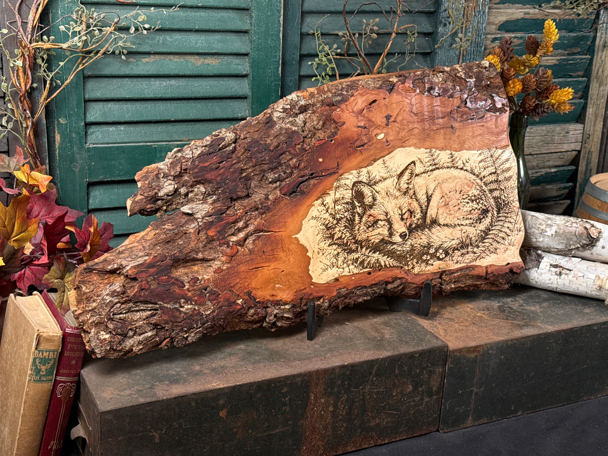 Fox in Fern on Pecan