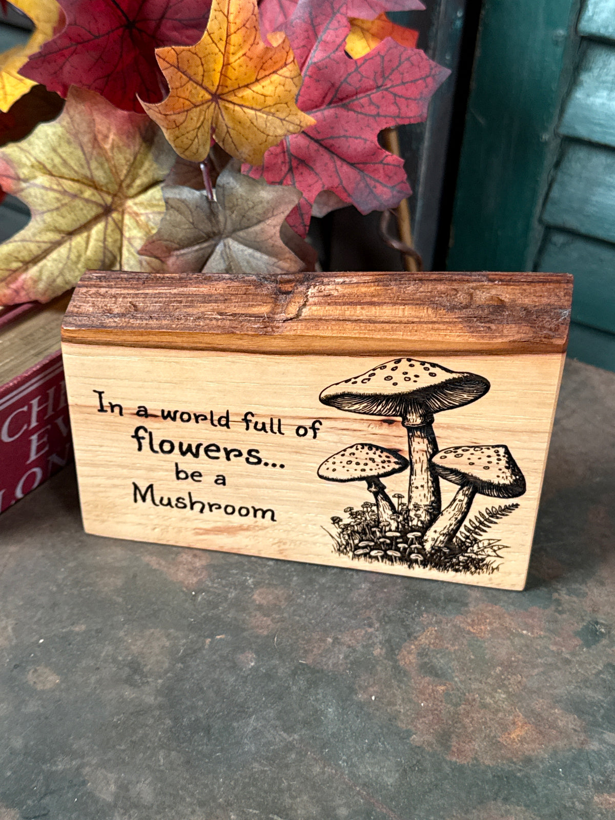 Be a Mushroom on Pecan