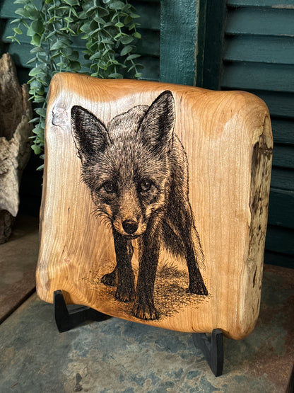 Curious Fox on Cherry