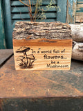 Be a Mushroom on Ash