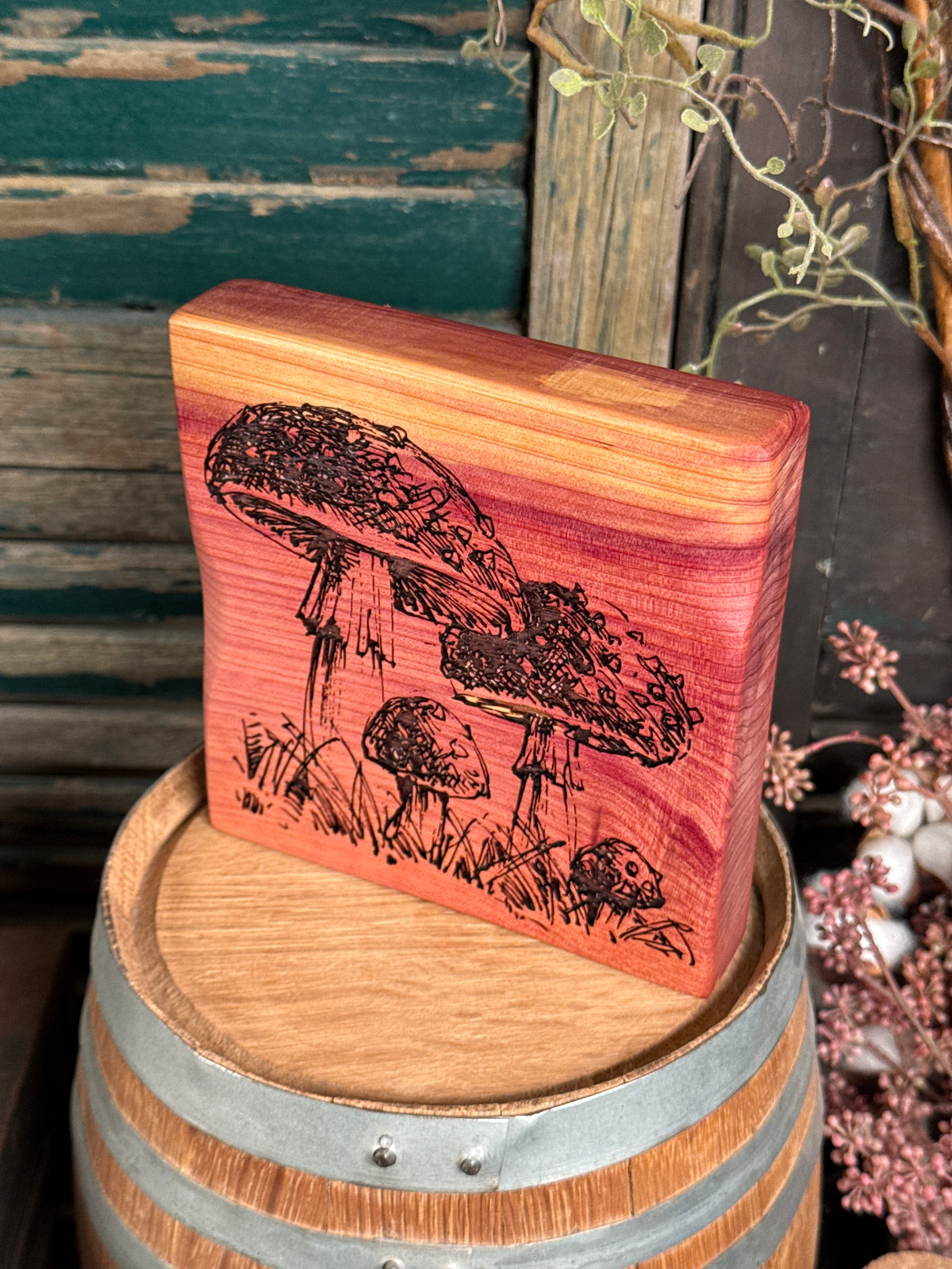 Mushroom on Cedar