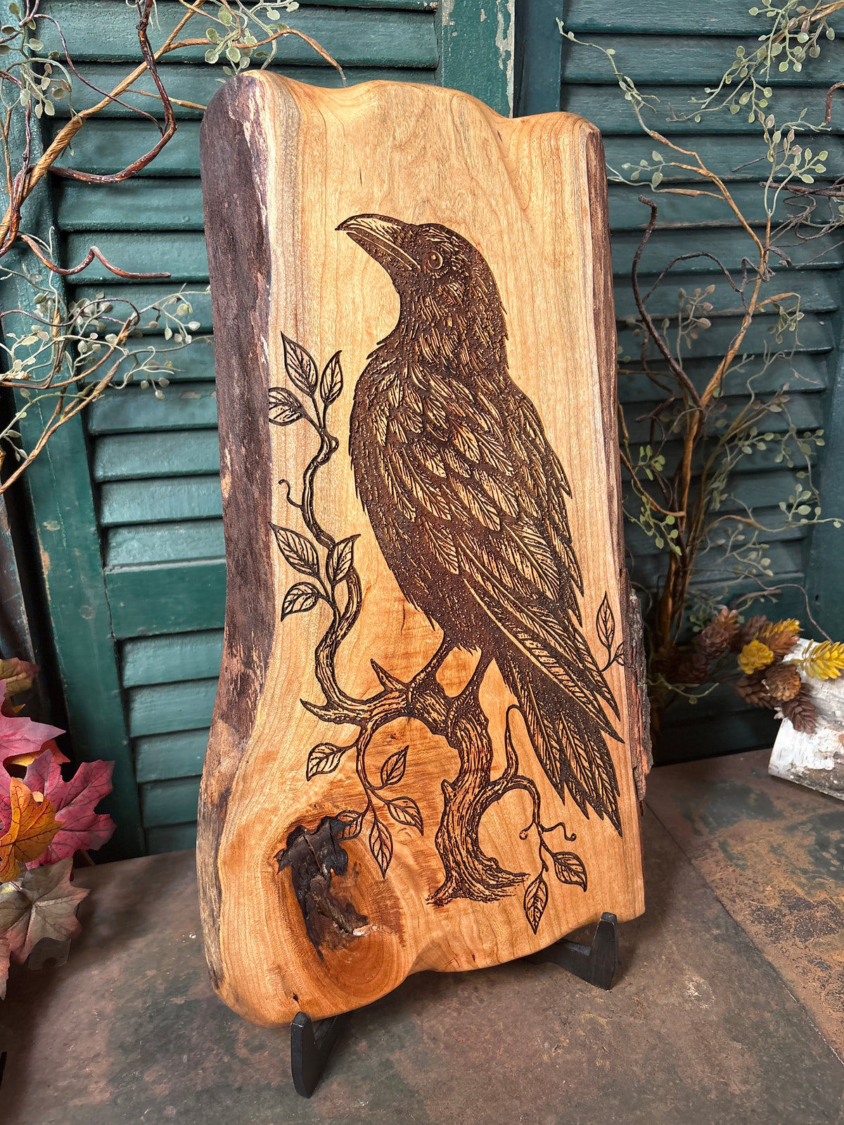Ancient Raven on Cherry