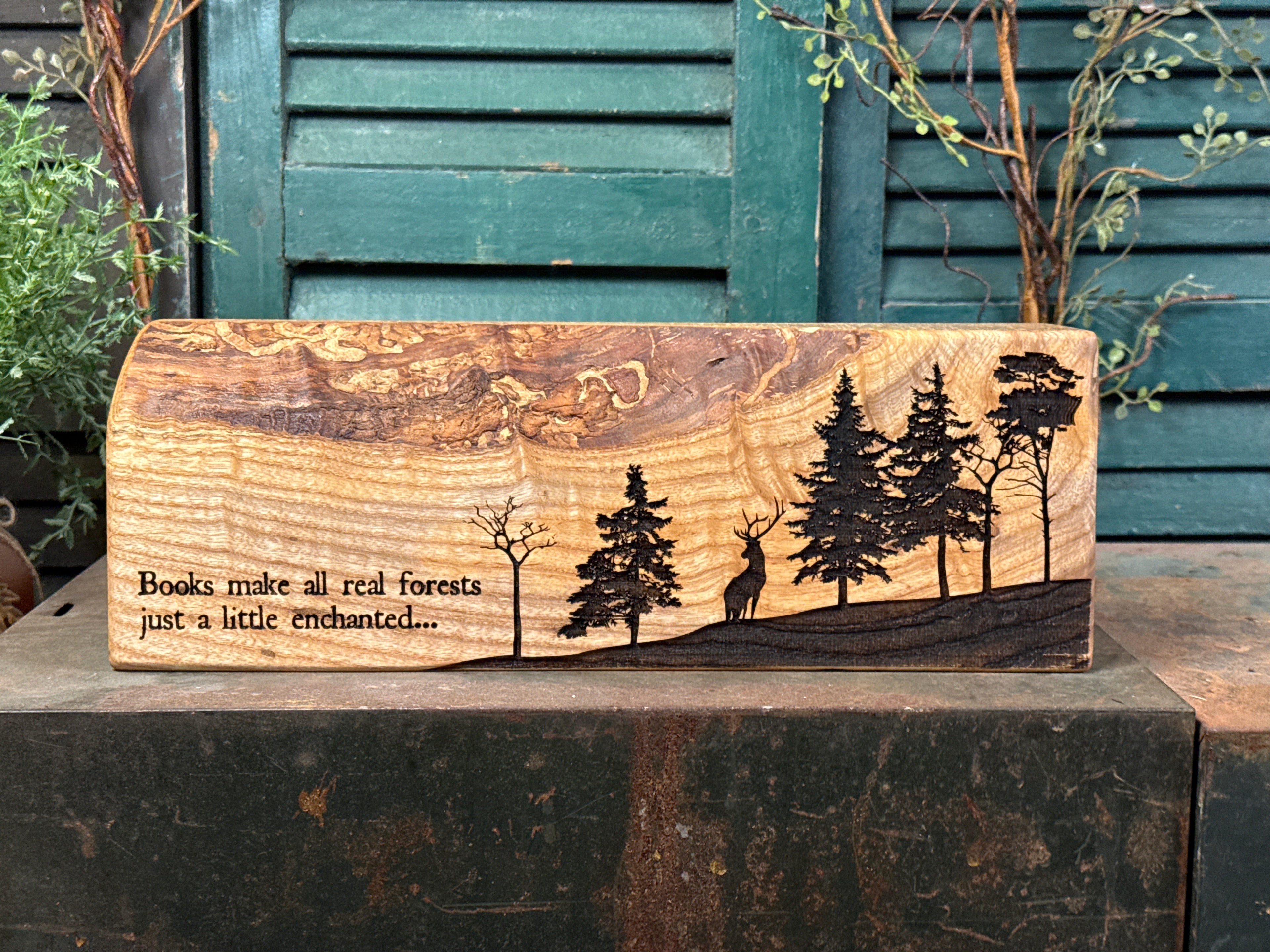 Enchanted Forest on Ash