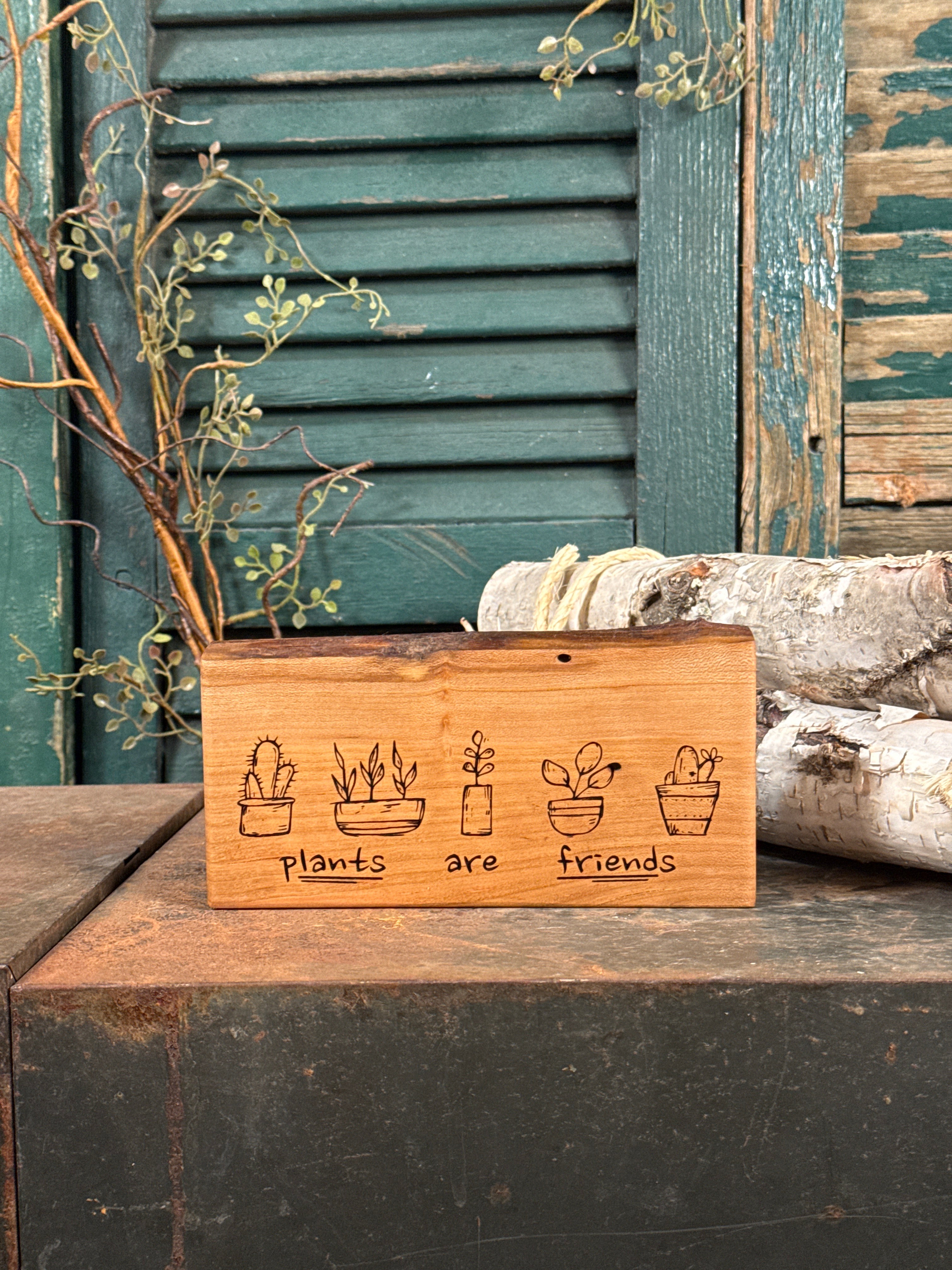 Plants are Friends on Cherry