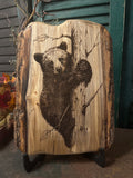 Bear Cub on Poplar