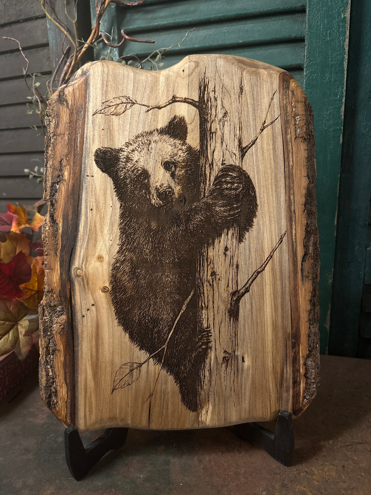 Bear Cub on Poplar